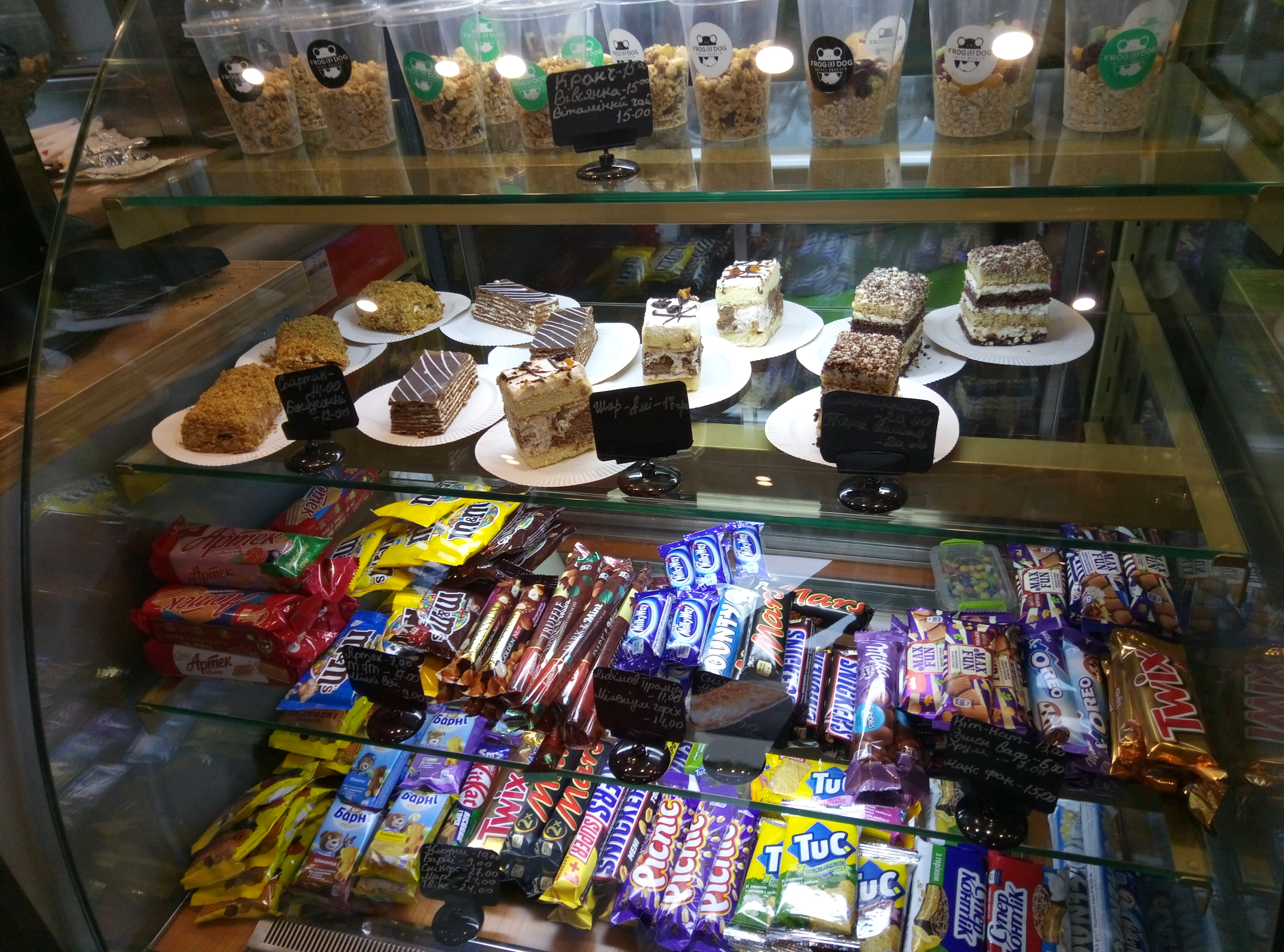 FROG AND DOG image 10