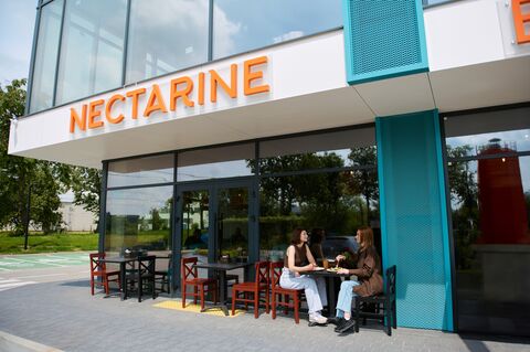 Nectarine Port / Нектарин Порт image 1
