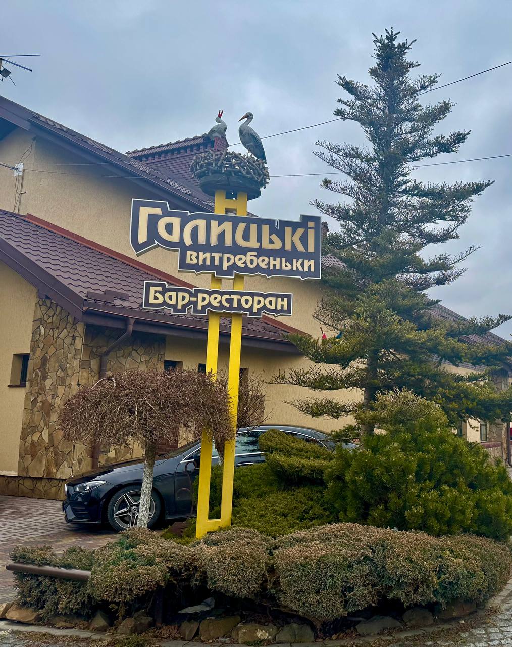 Halytsʹki Vytrebenʹky image 10