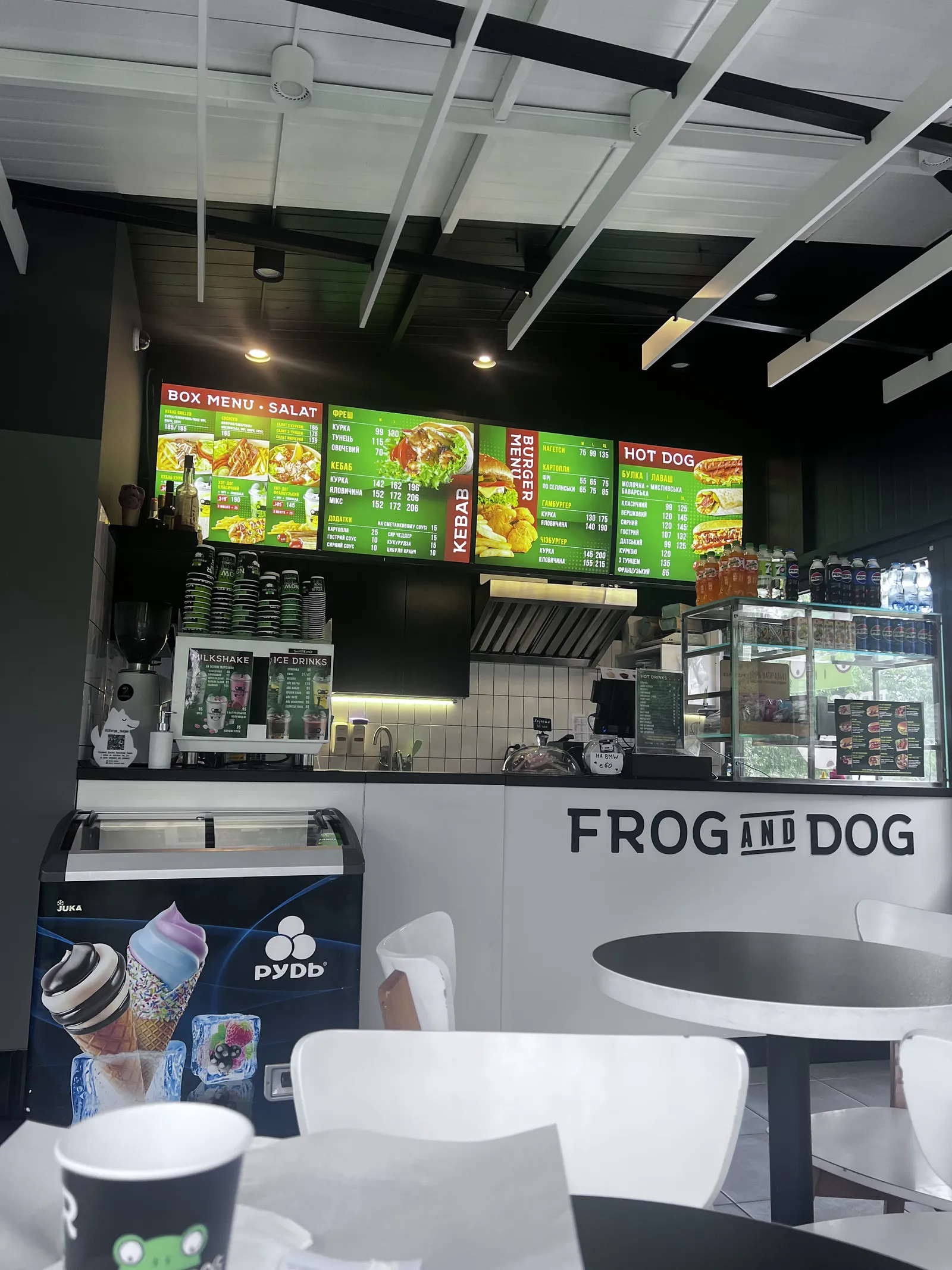 FROG AND DOG image 8