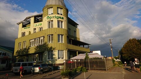 Orkhideya image 3