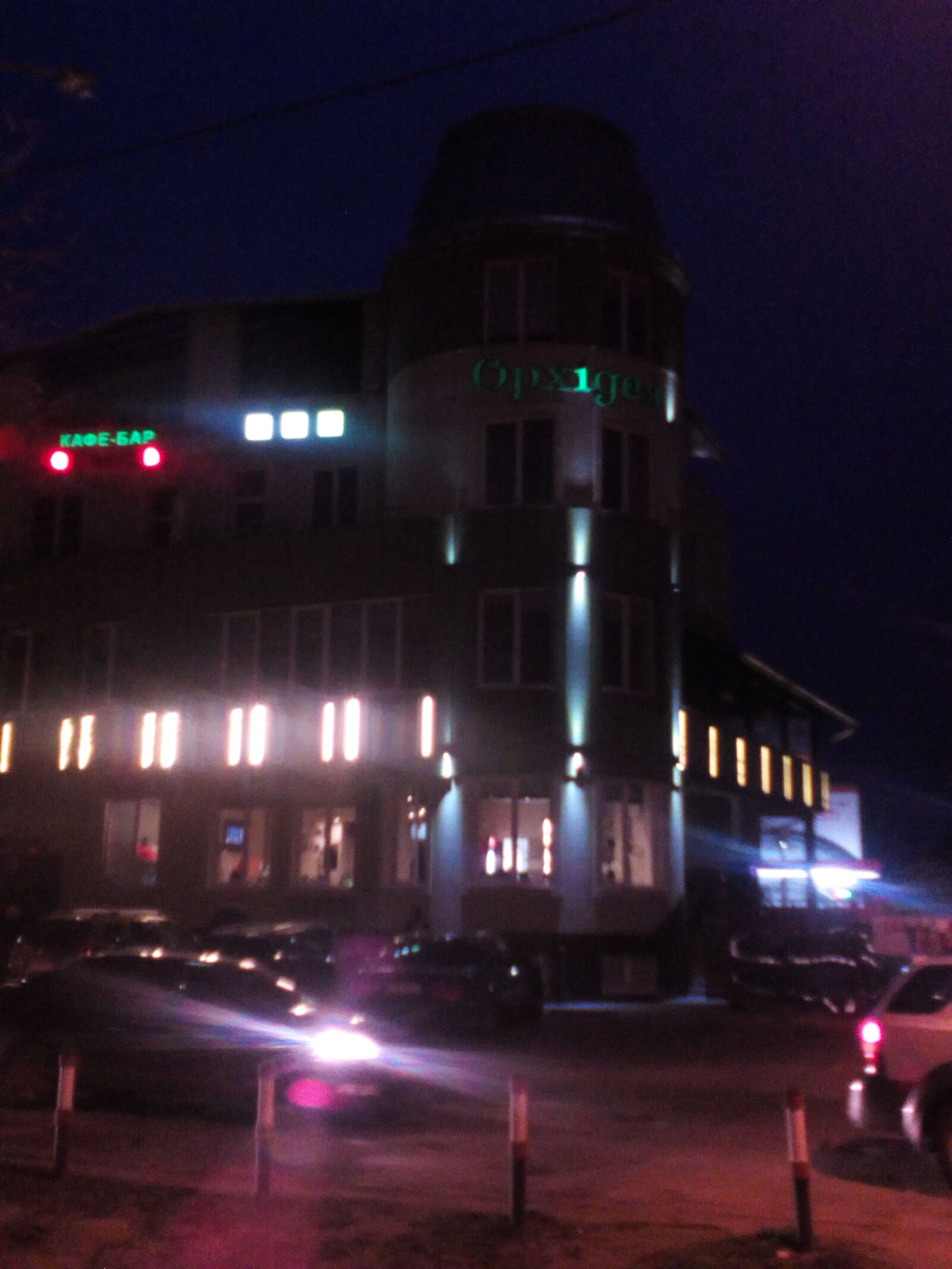 Orkhideya image 9