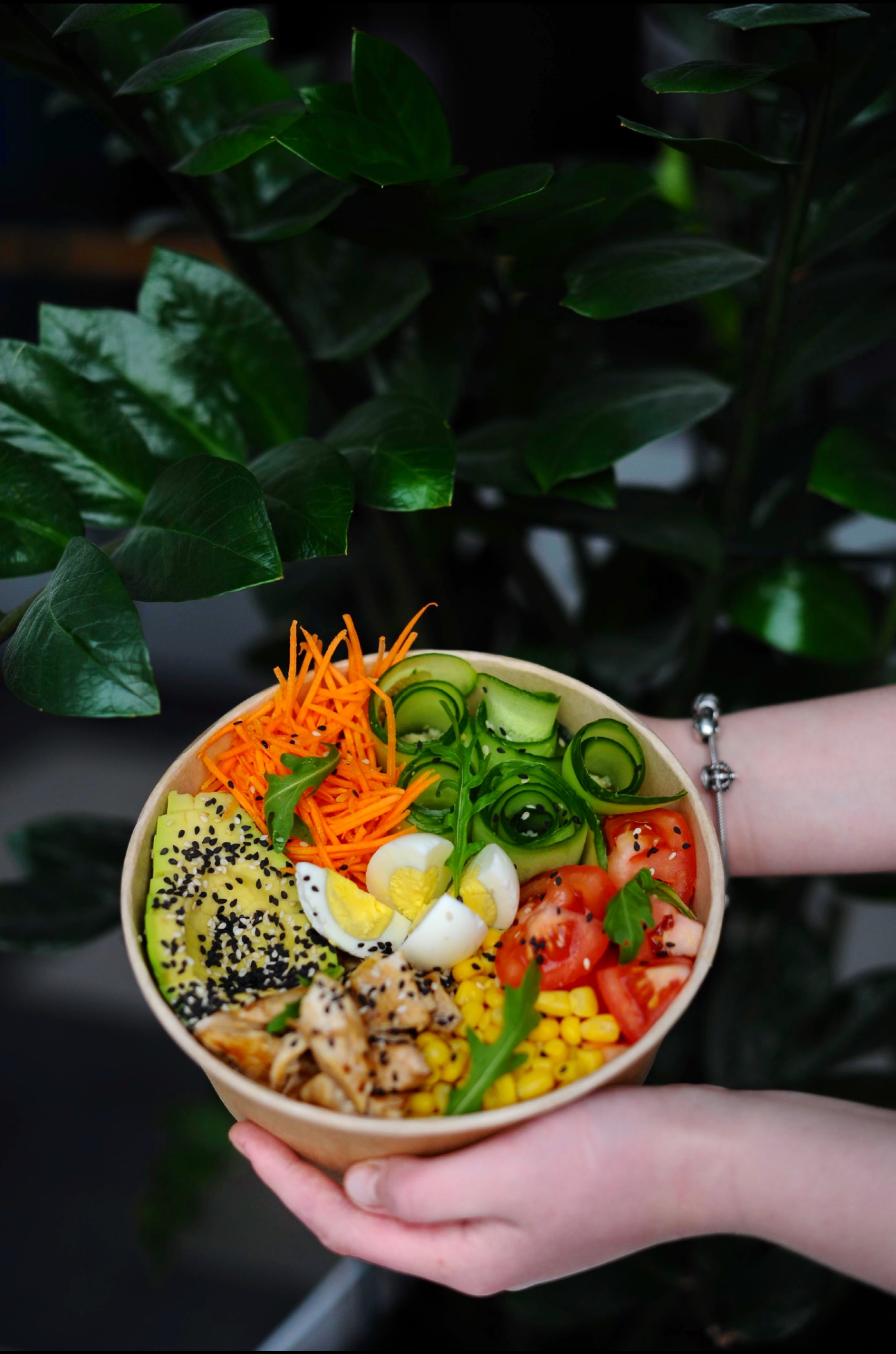 Avocado Organic Food image 5