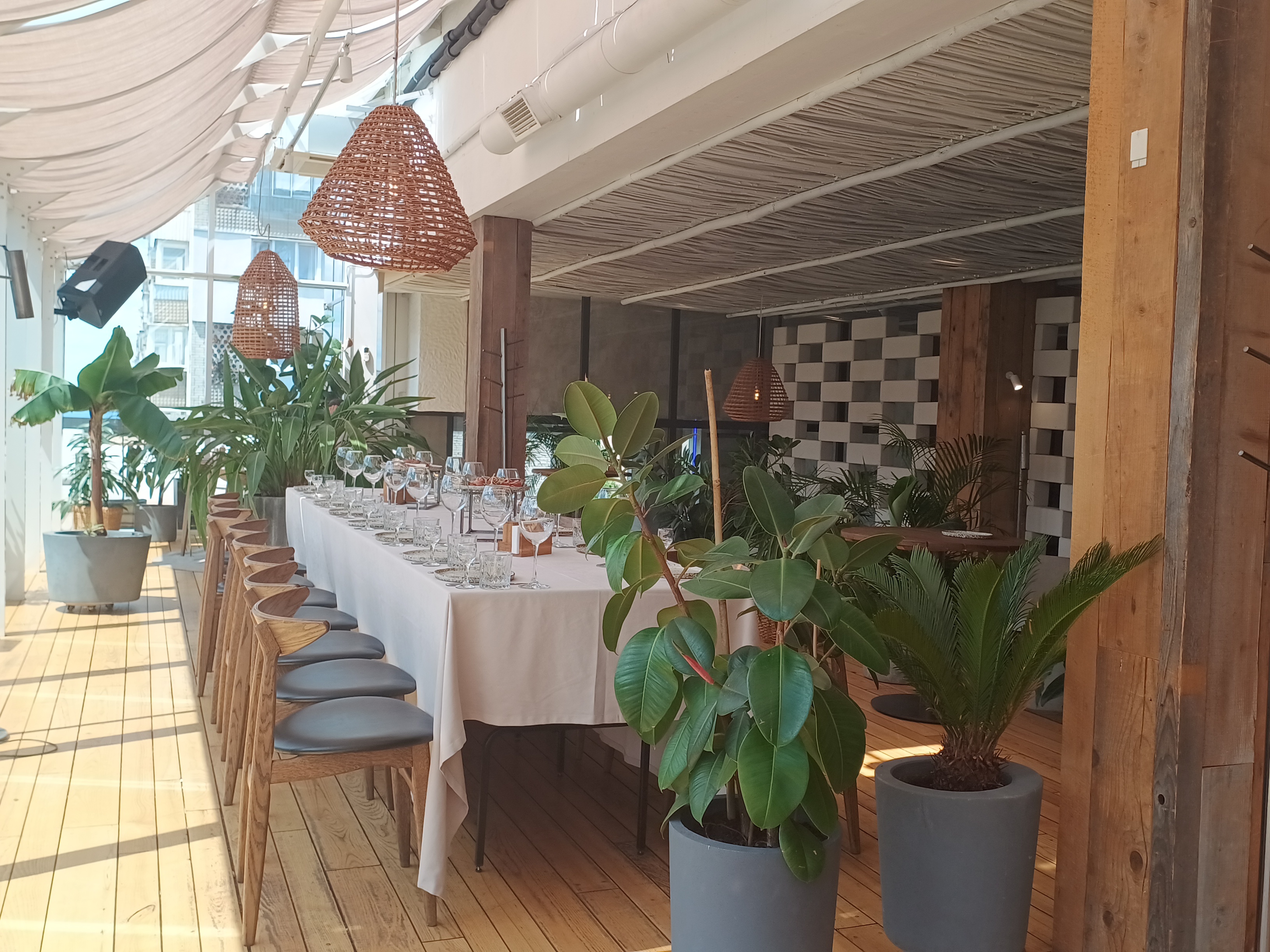 Avocado Organic Food image 1