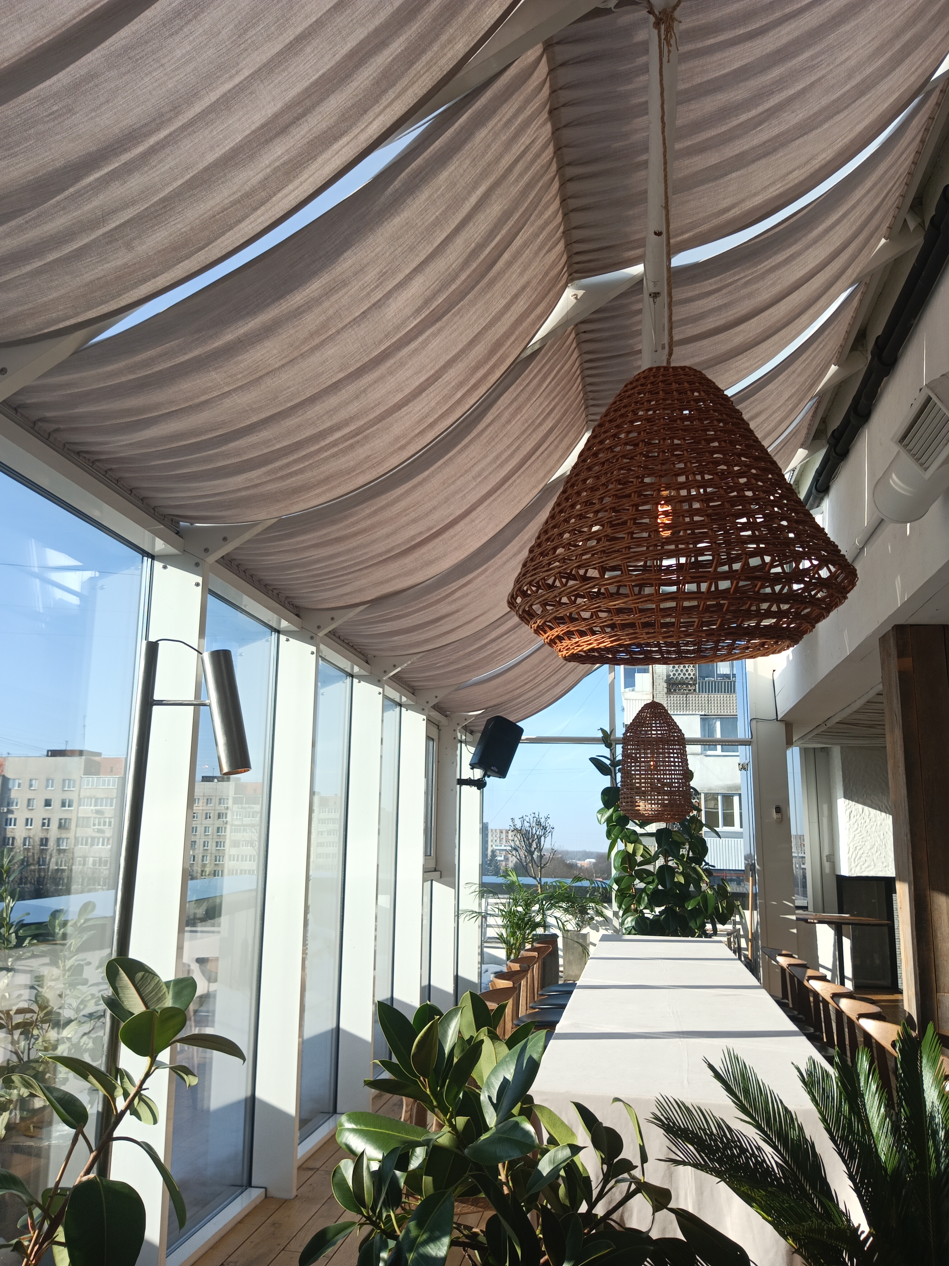 Avocado Organic Food image 4