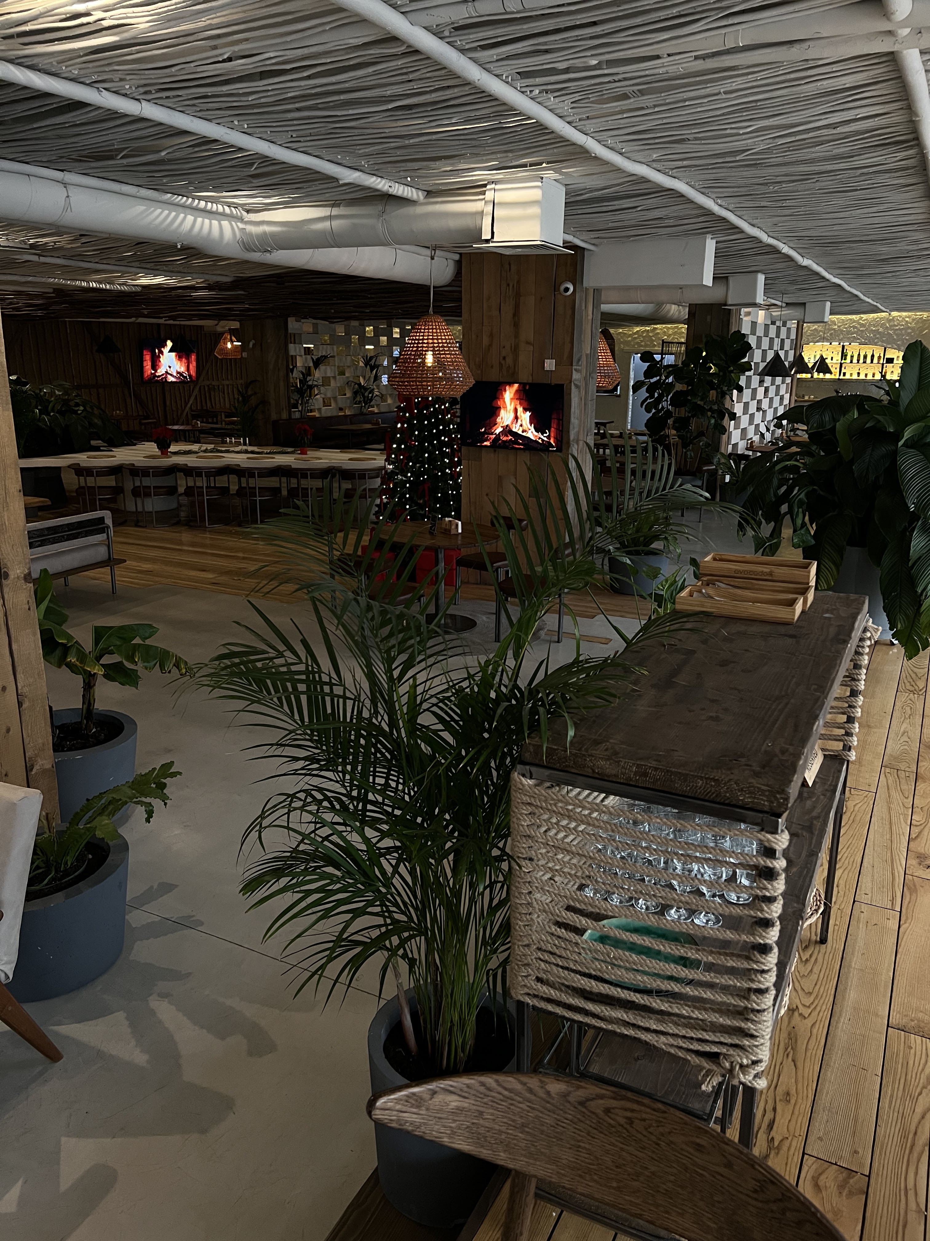 Avocado Organic Food image 5