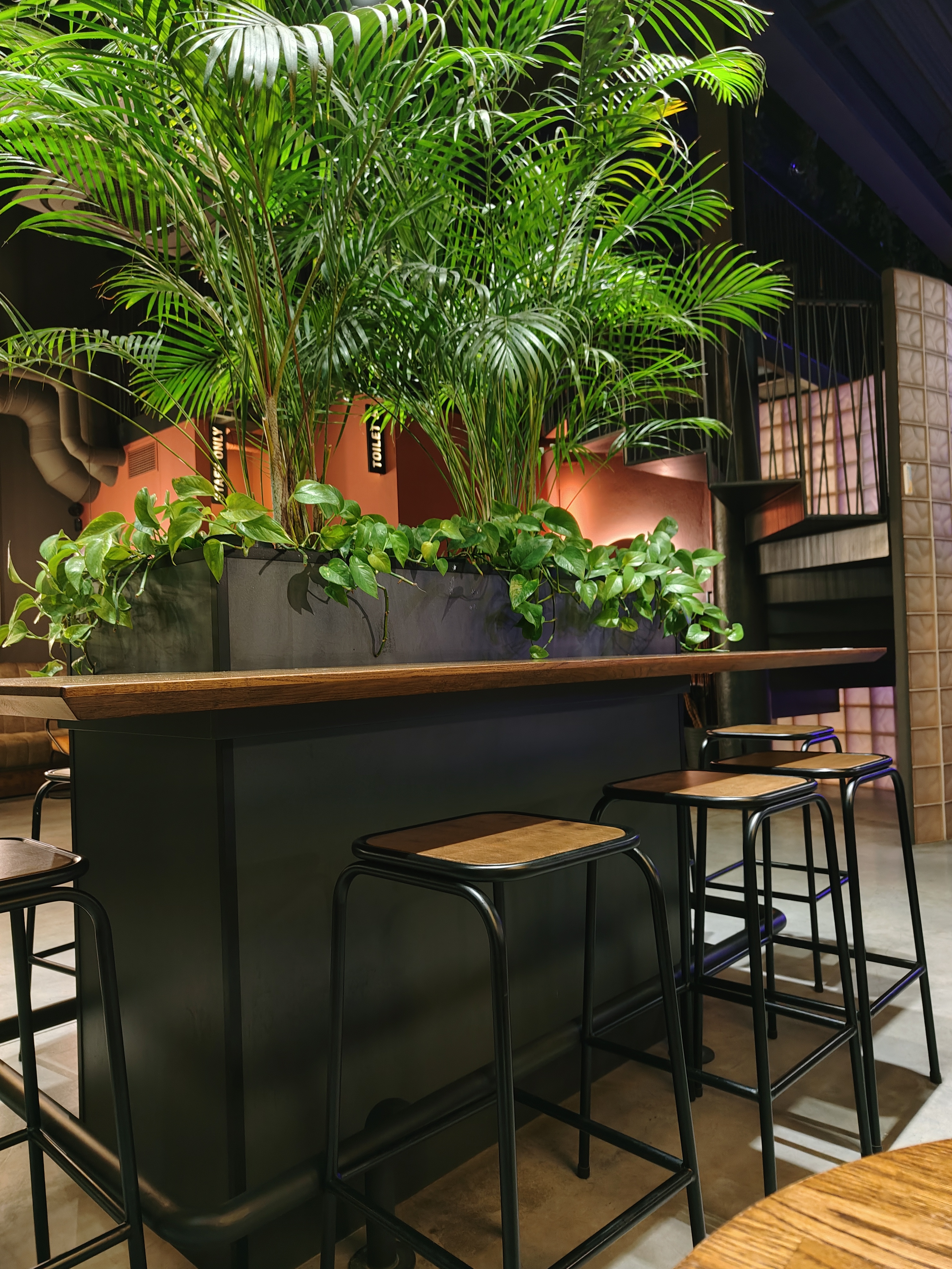 Lviv Croissants image 1