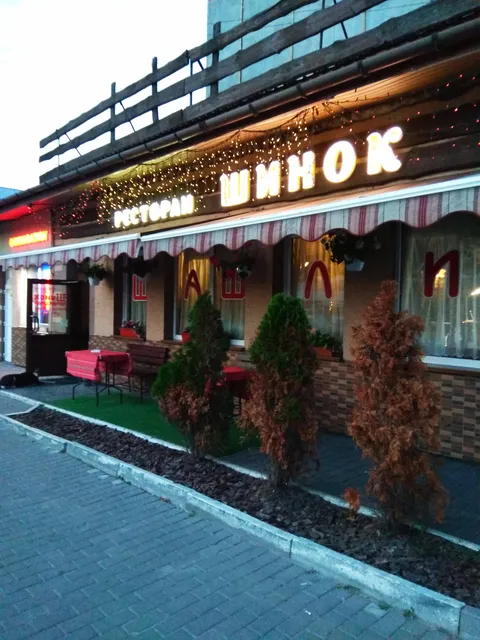 Shynok image 5