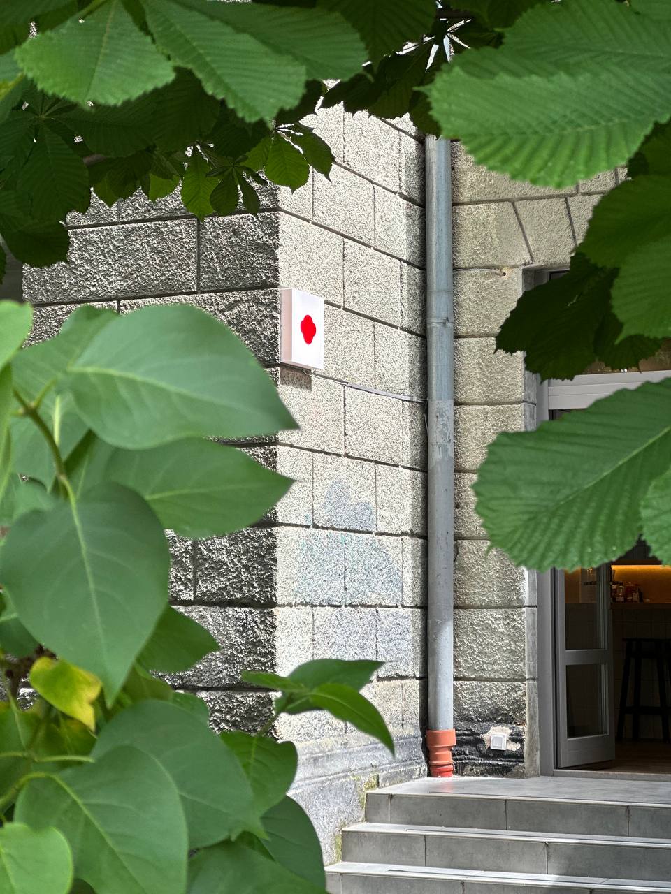 Red Monkey · UPA image 6