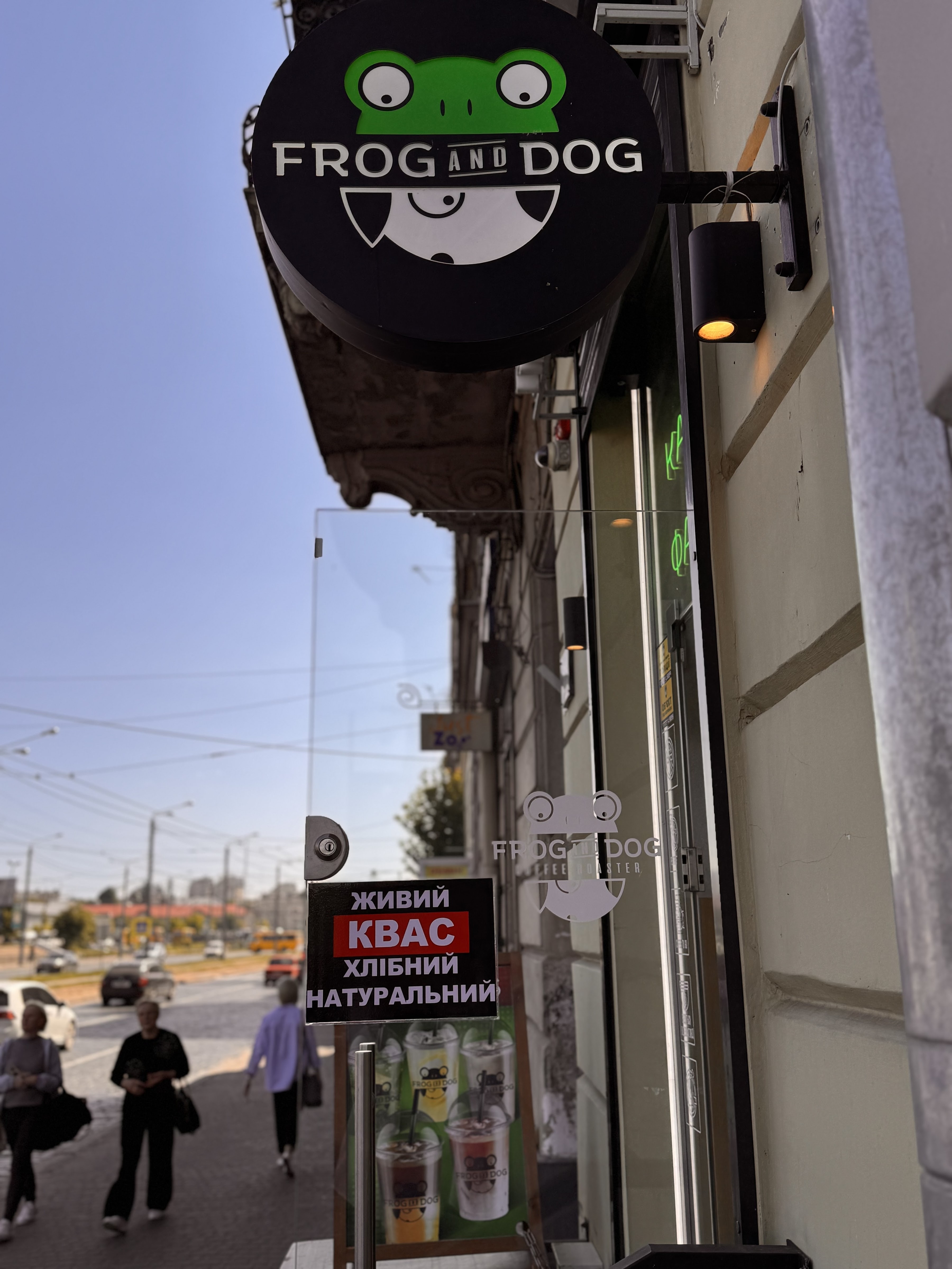 FROG AND DOG image 8