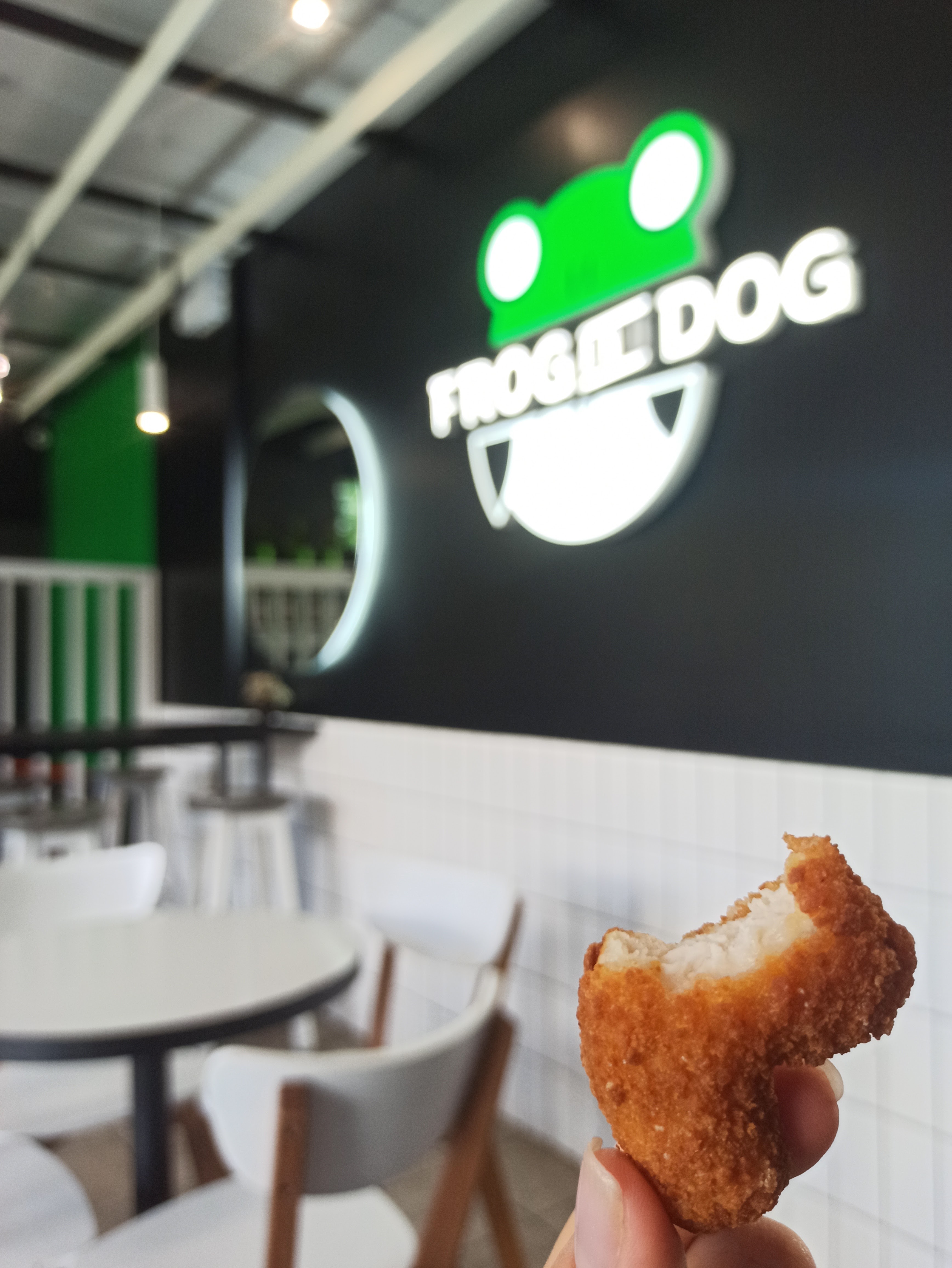 FROG AND DOG image 7