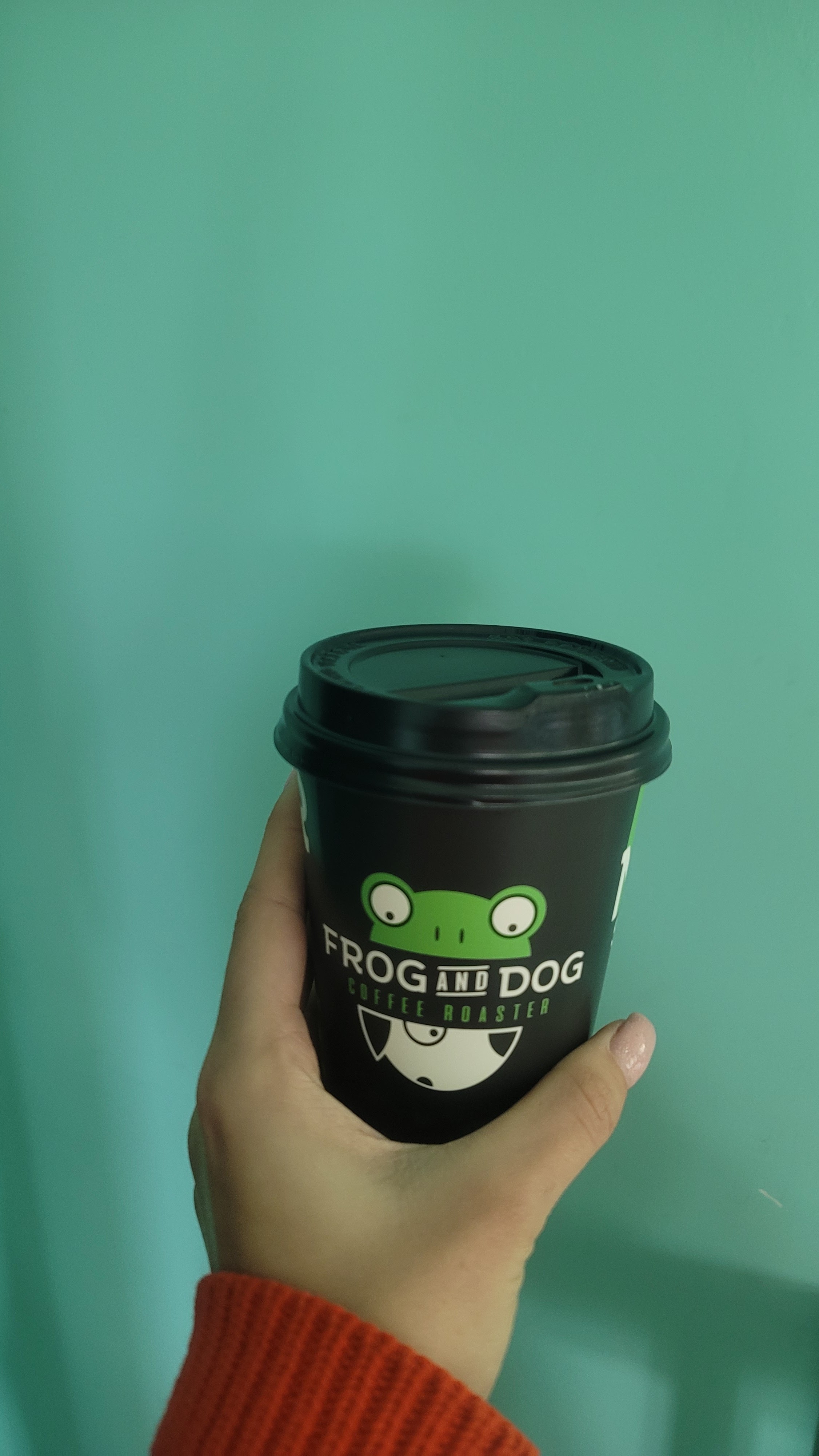 FROG AND DOG image 8