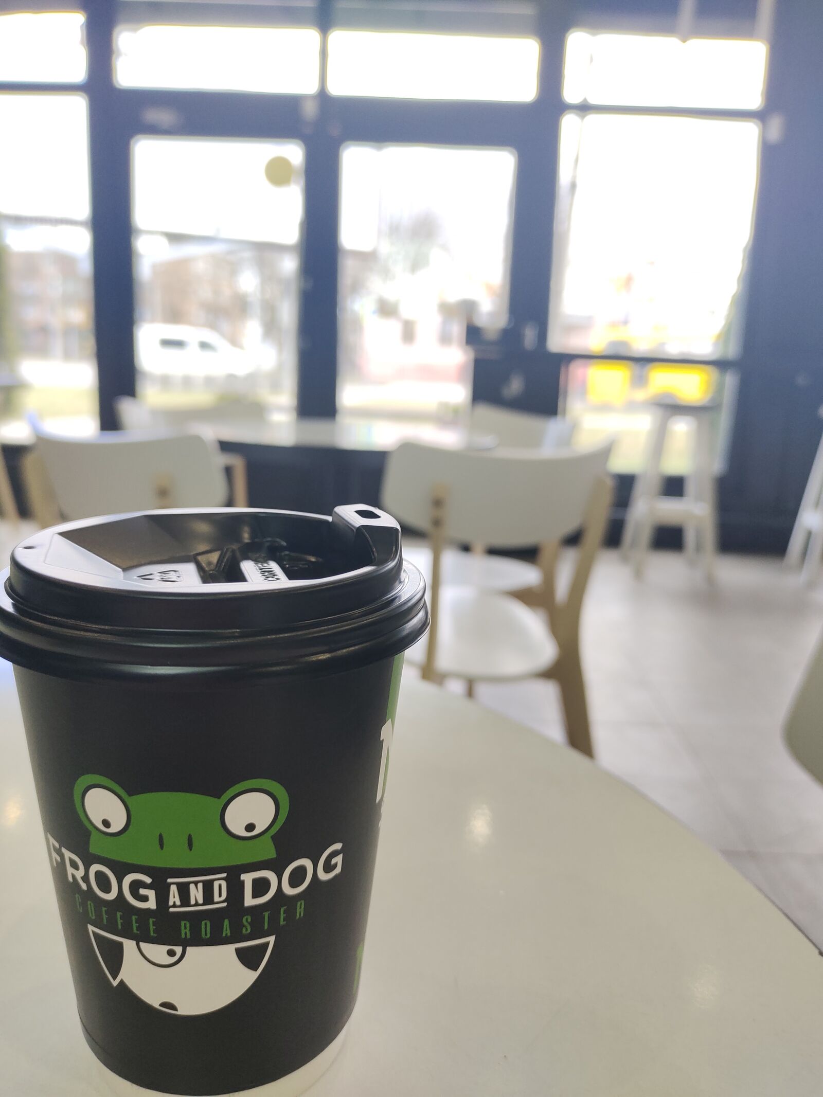 FROG AND DOG image 9