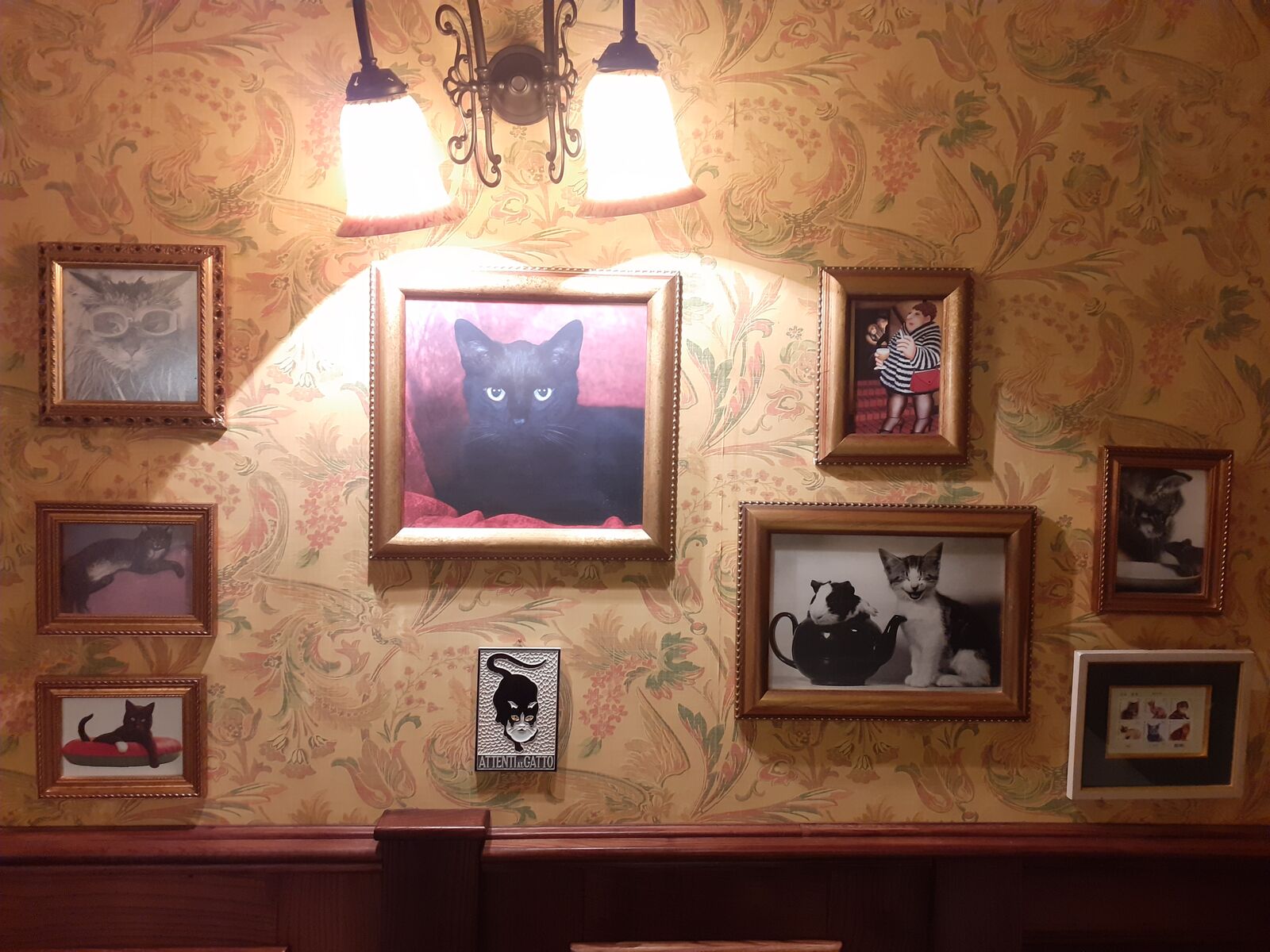 Black Cat image 10