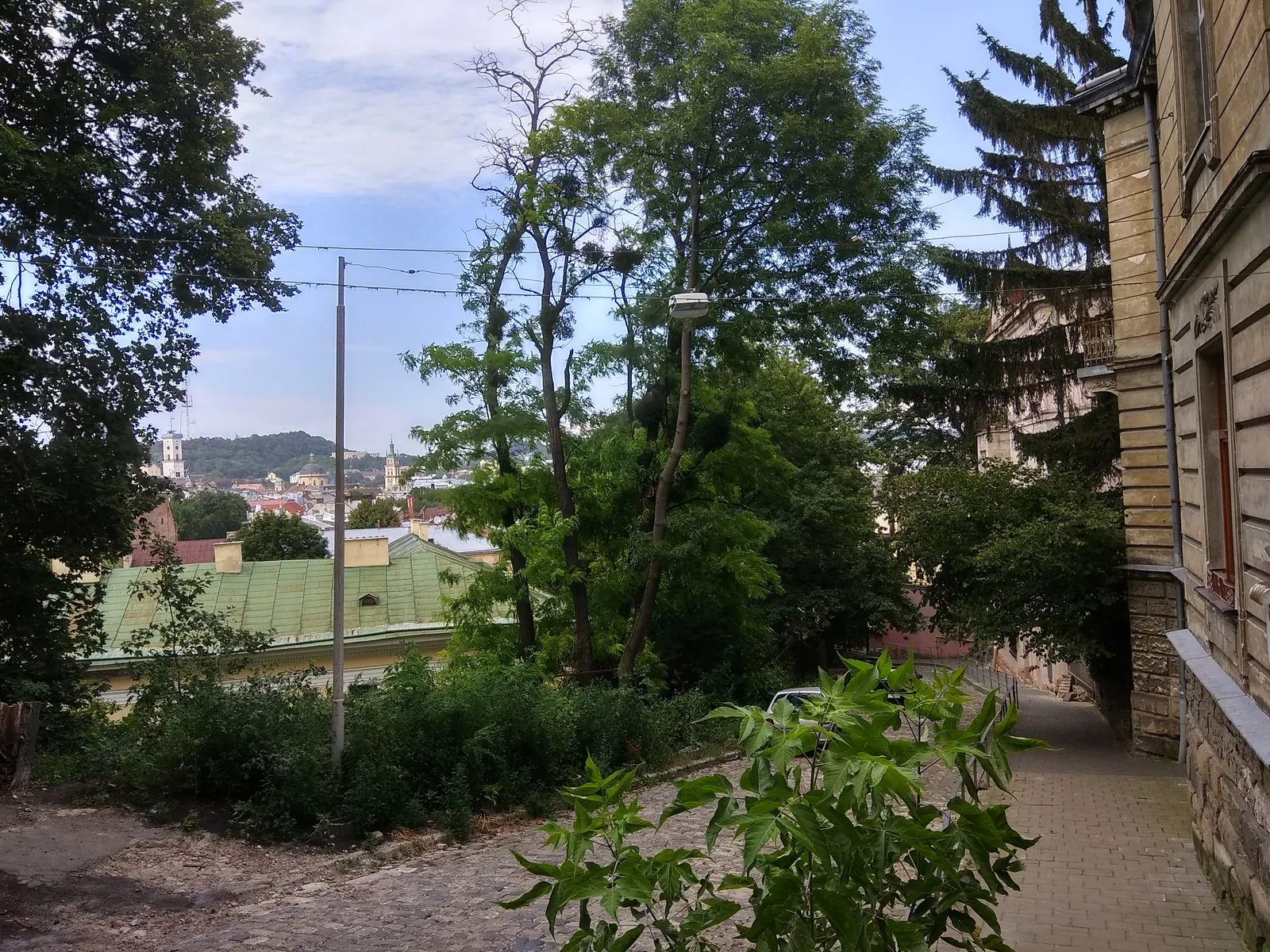 Kupol image 7