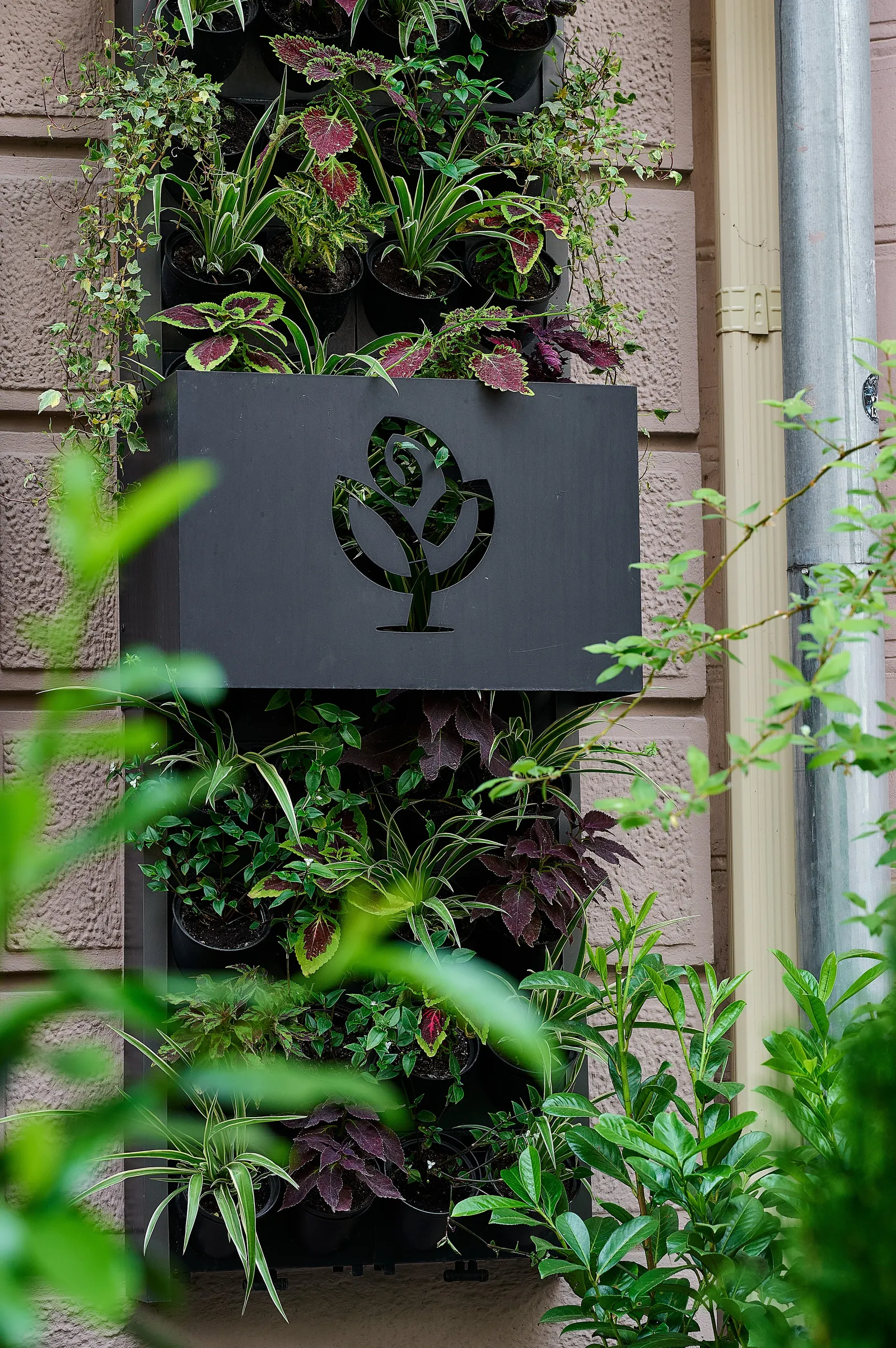 Green Garden image 3