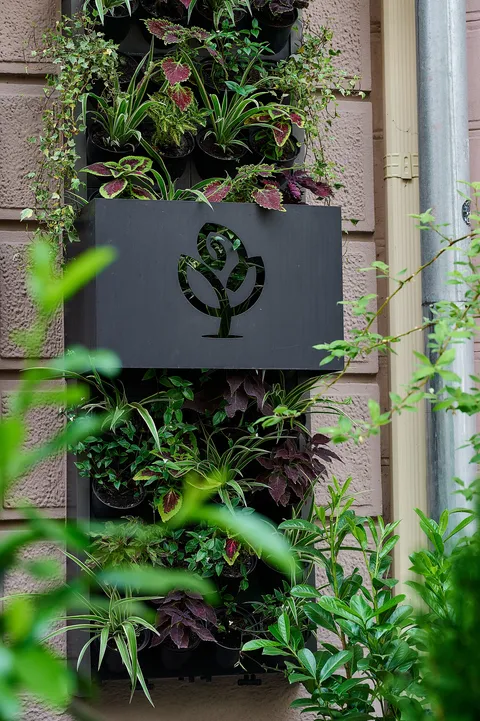 Green Garden image 3