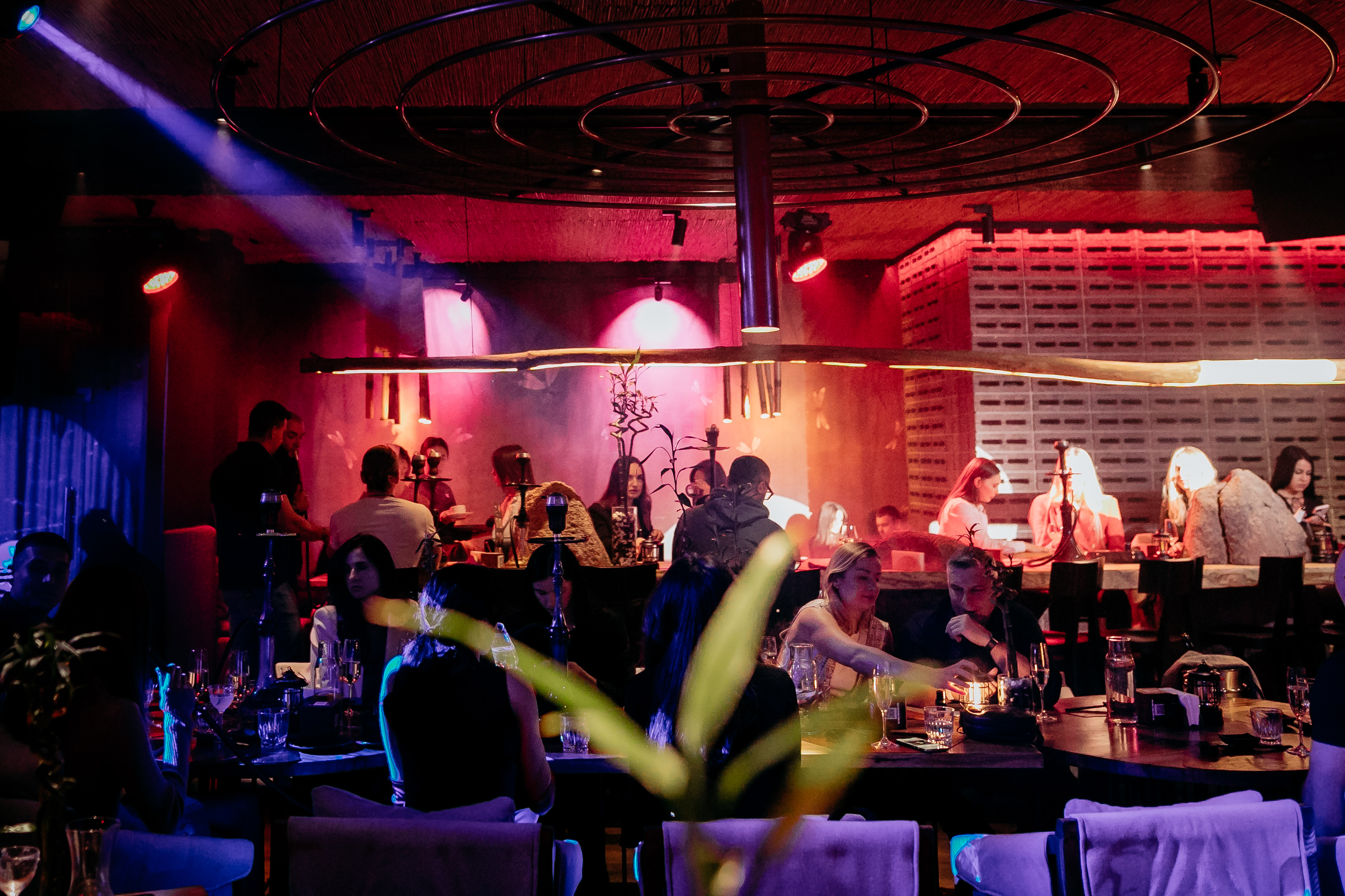 YOKI Restaurant image 8