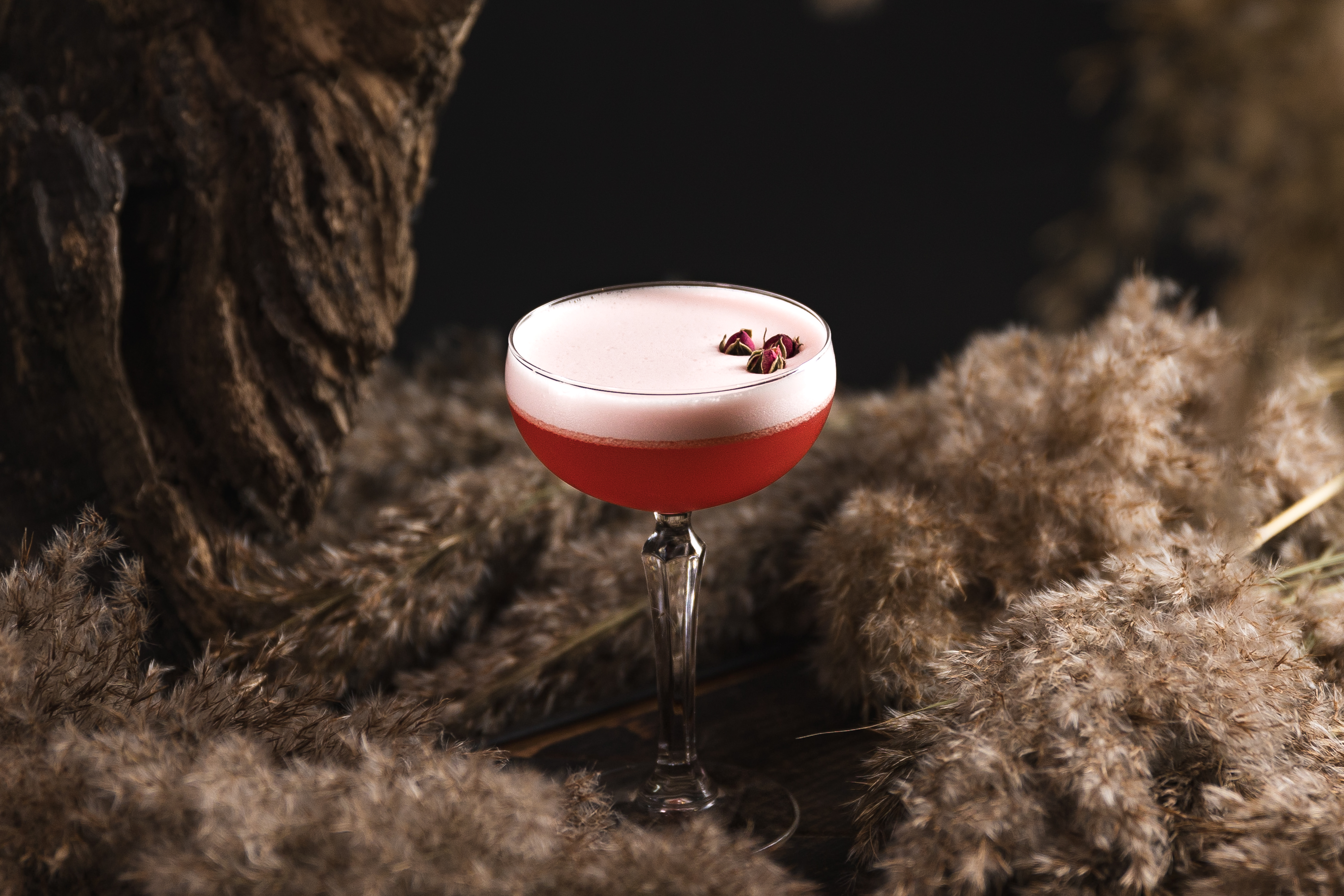 Yazykata Teshcha image 4