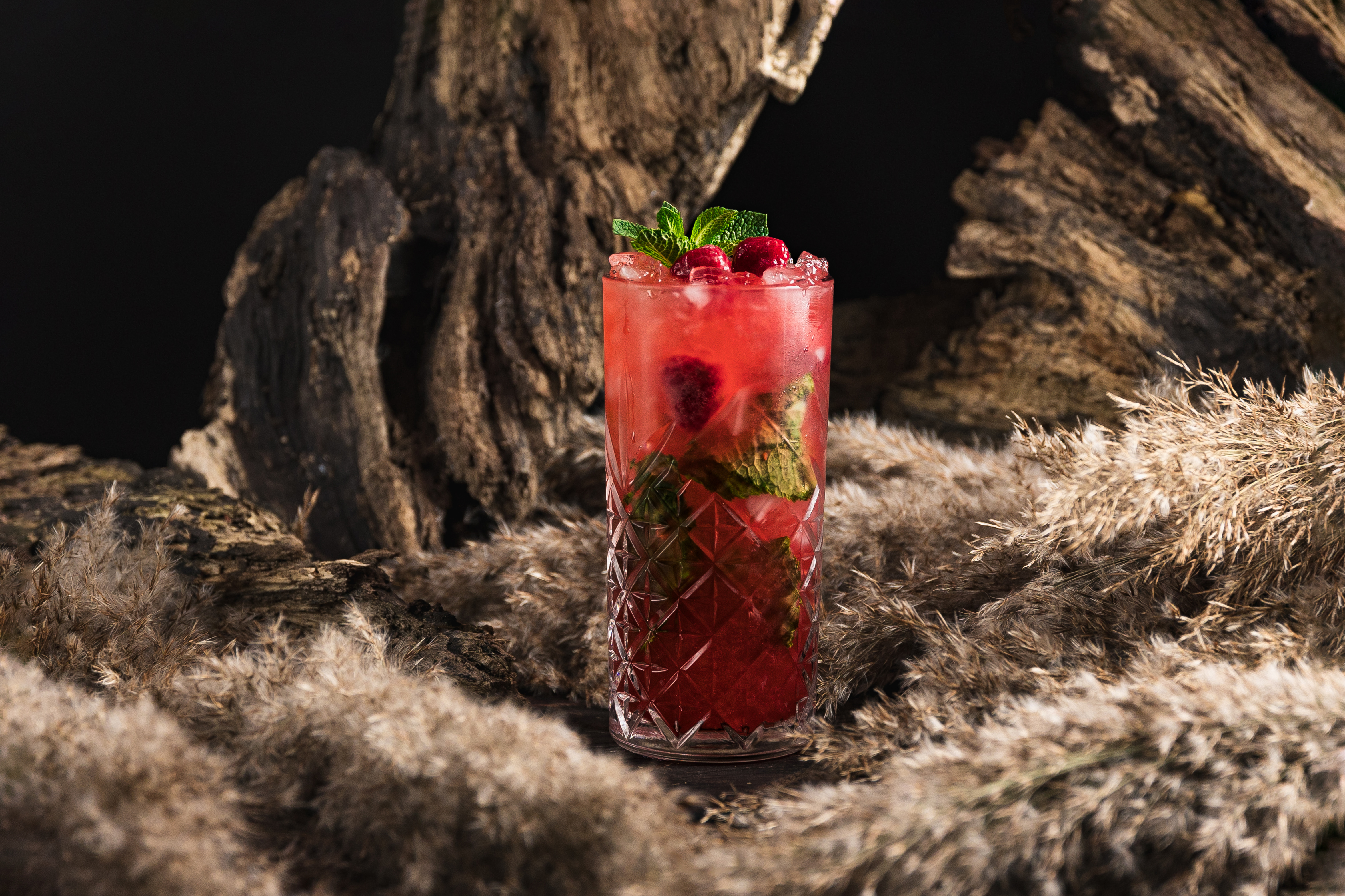 Yazykata Teshcha image 7