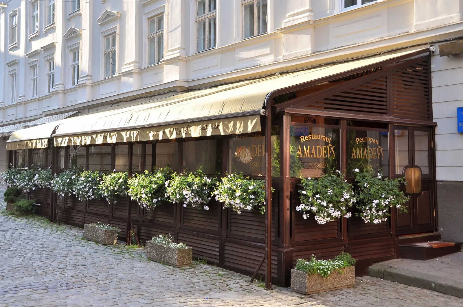 Amadeus image 1