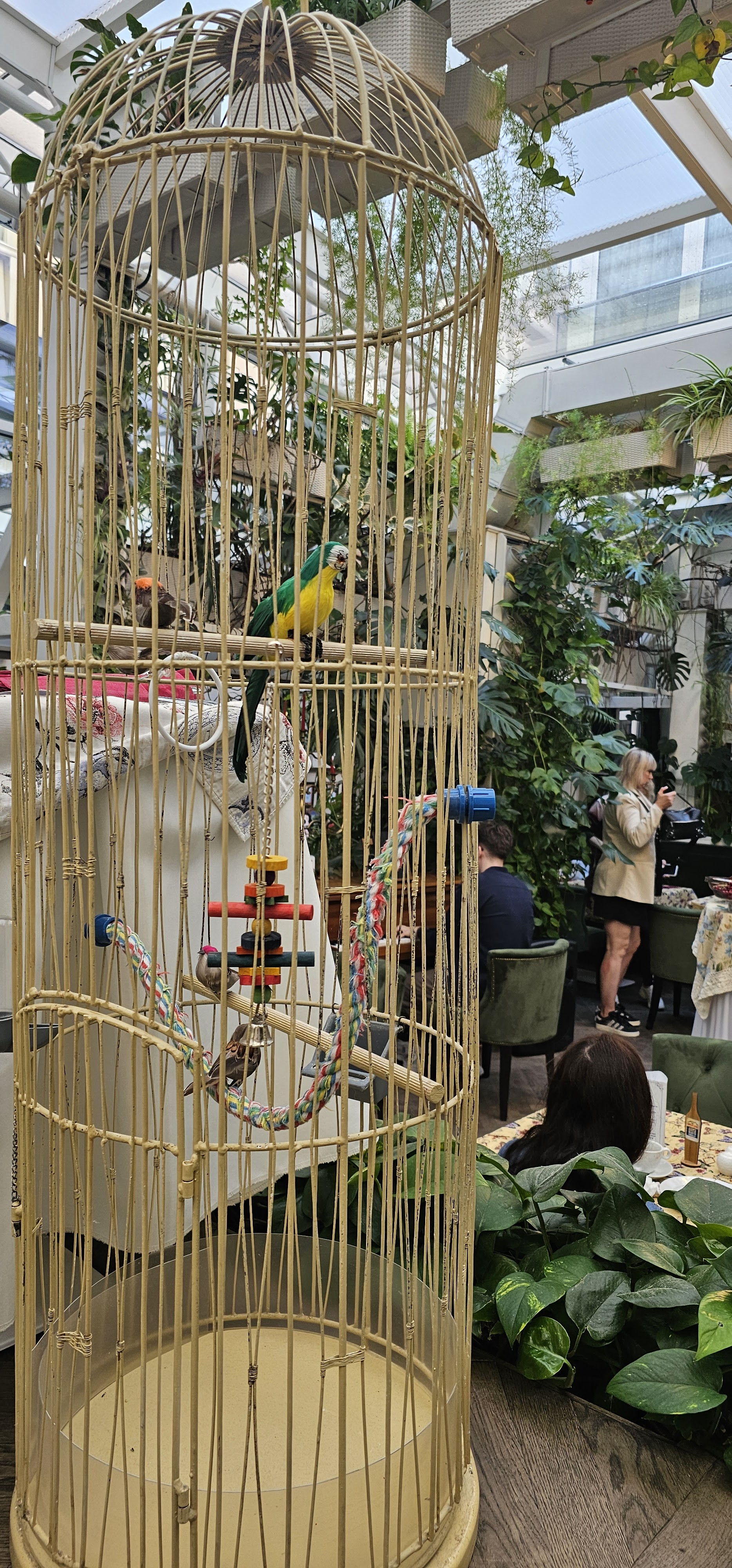 Baczewski Restaurant image 10