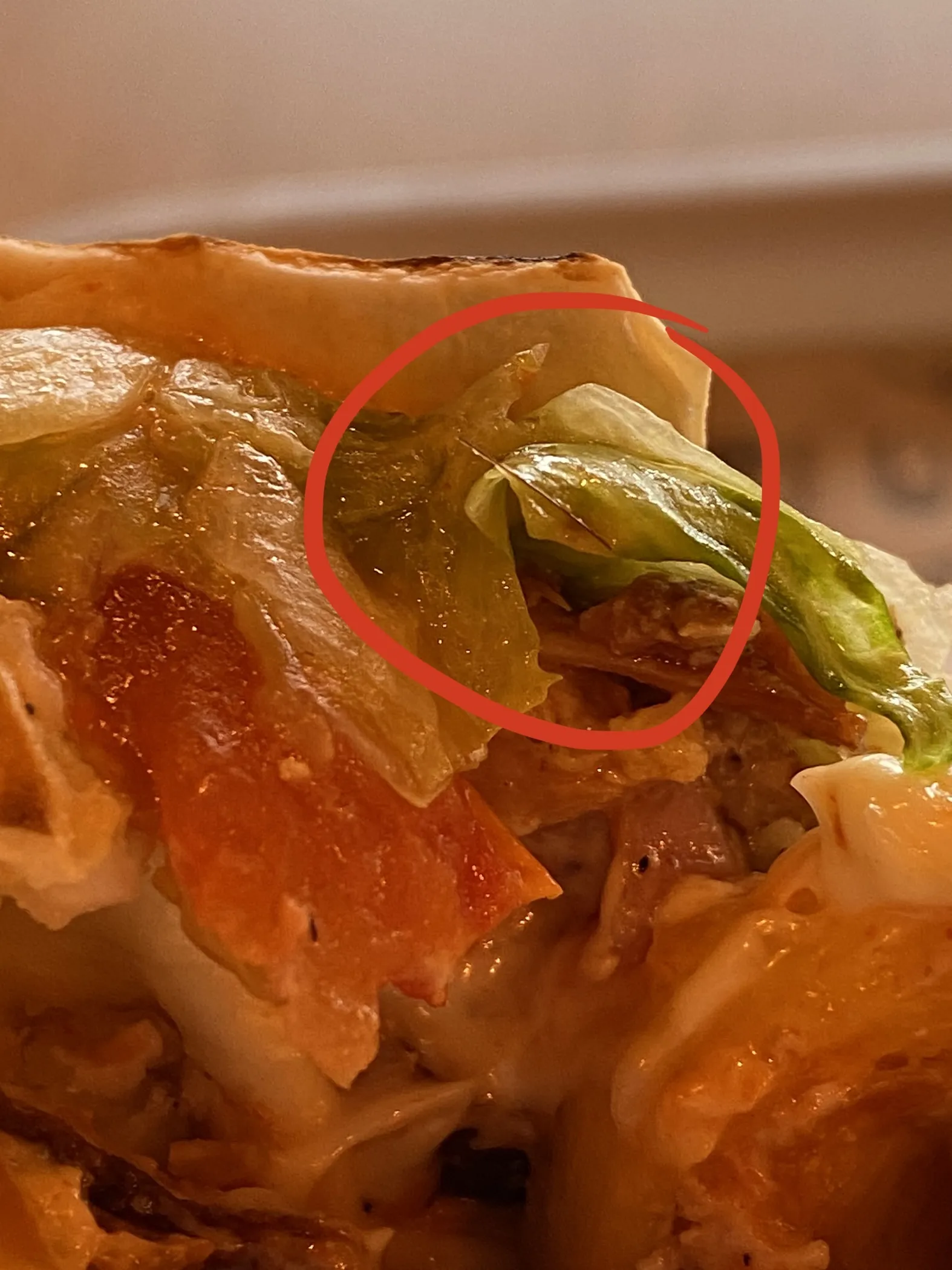 I Love Kebab/Я Люблю Кебаб image 10