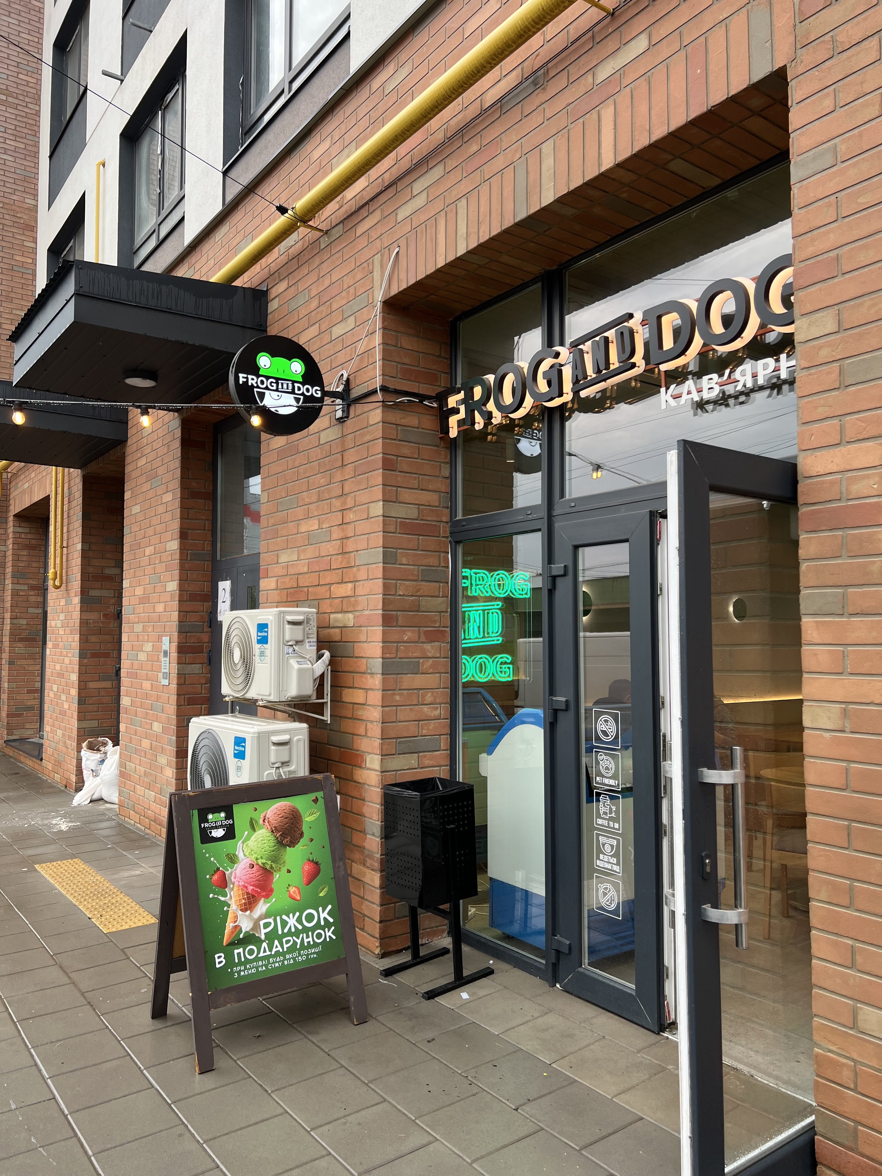 FROG AND DOG image 4