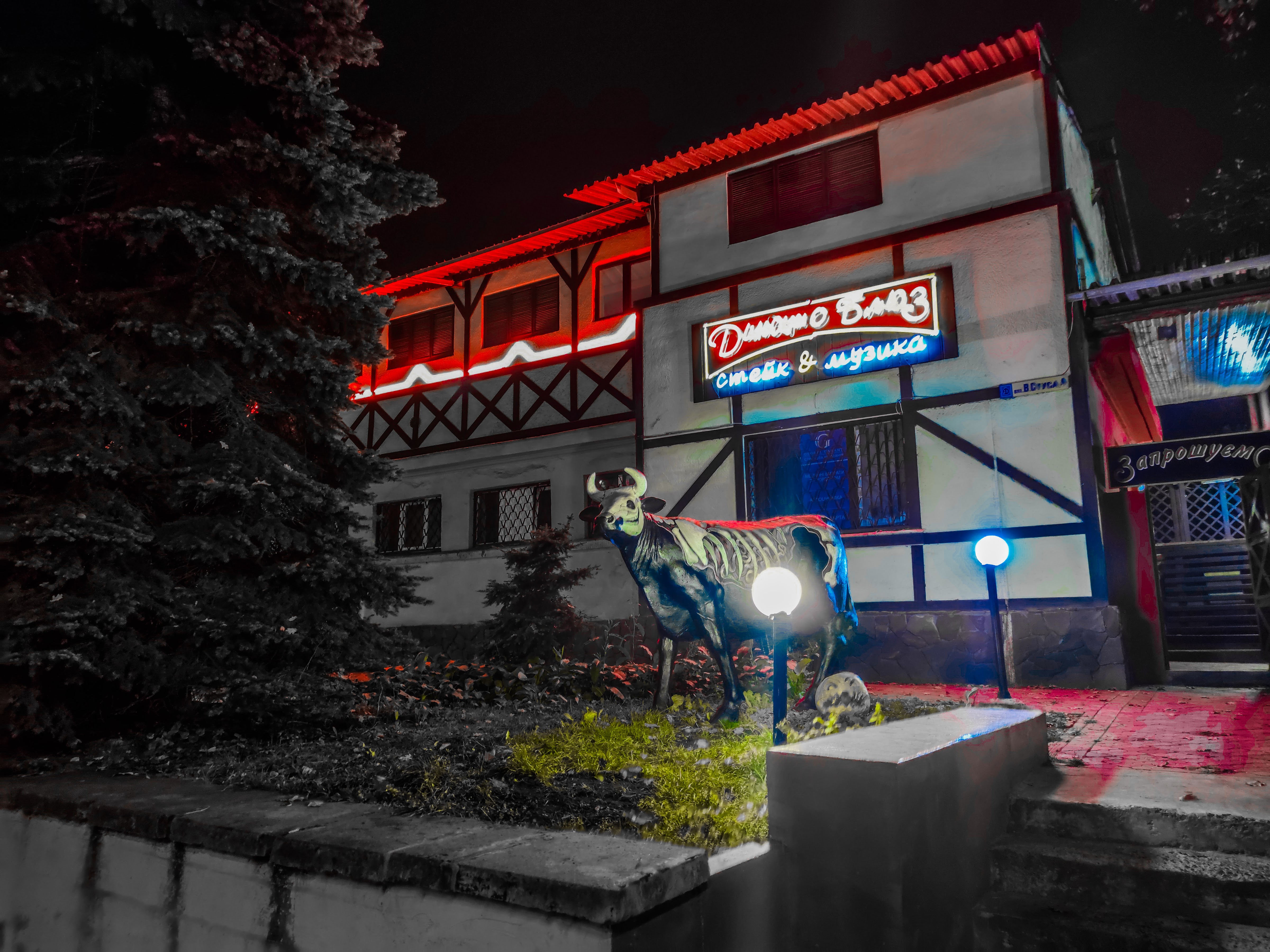 Dynamo Blues image 8