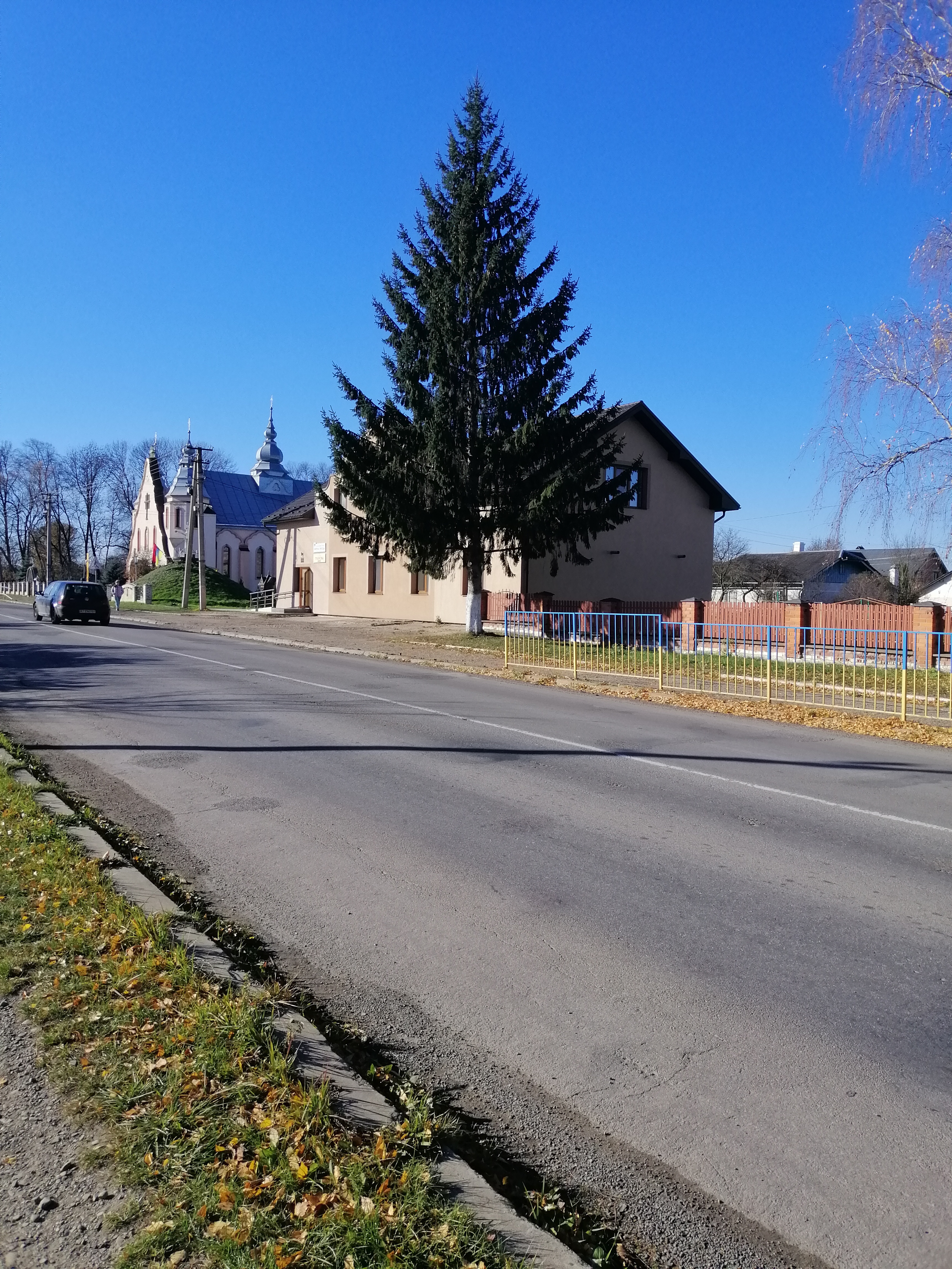 Trapezna Mistechka Lysets' image 3