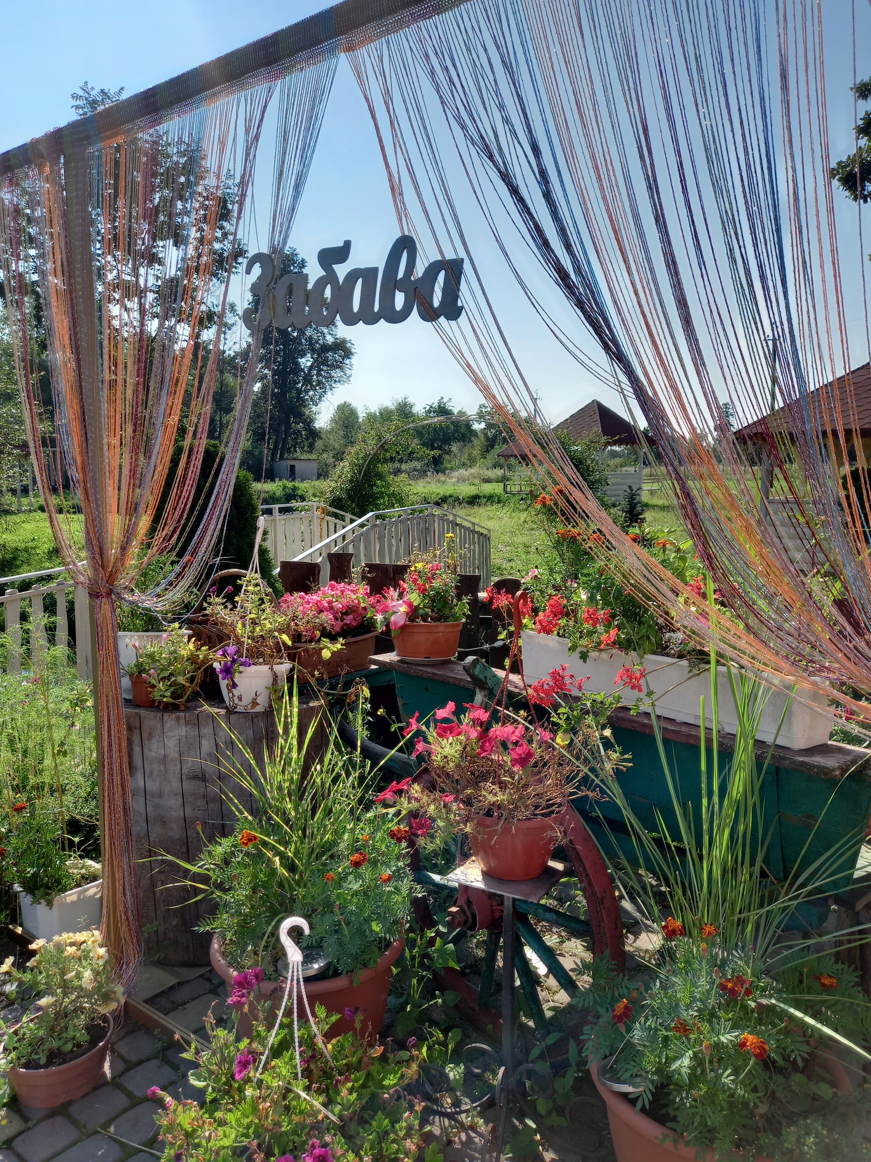 Zabava Zabava image 8