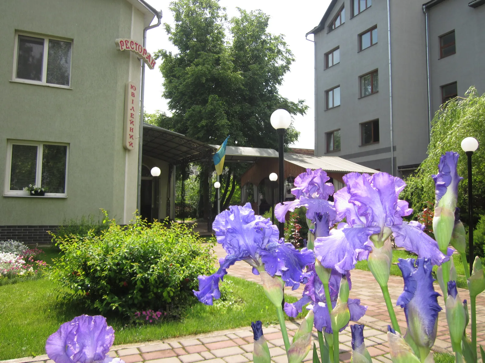 Yuvileynyy image 2