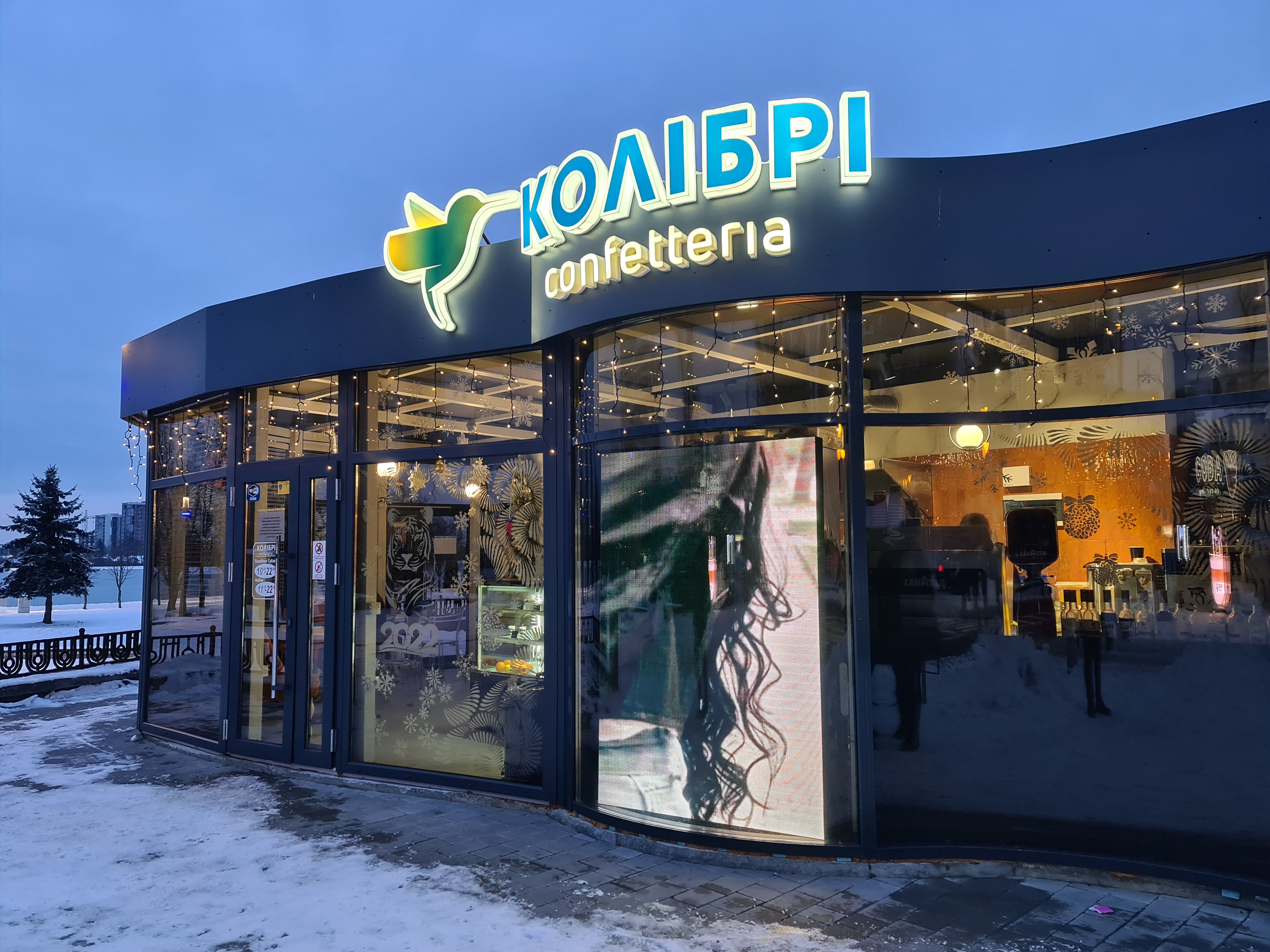 Колібрі image 1