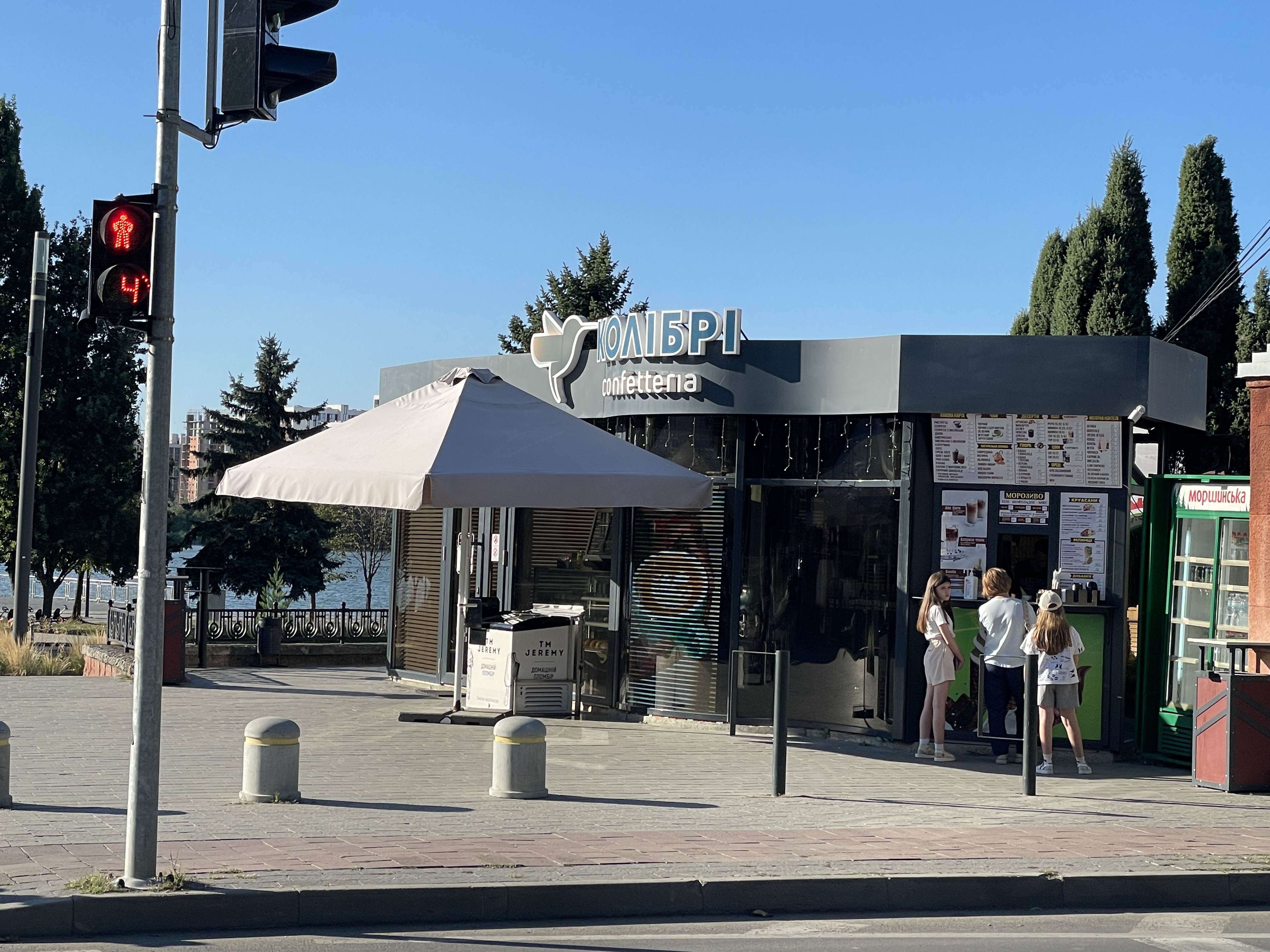 Колібрі image 4