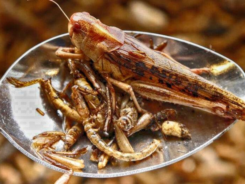 SAKURA Pan Asian & Sushi image 3