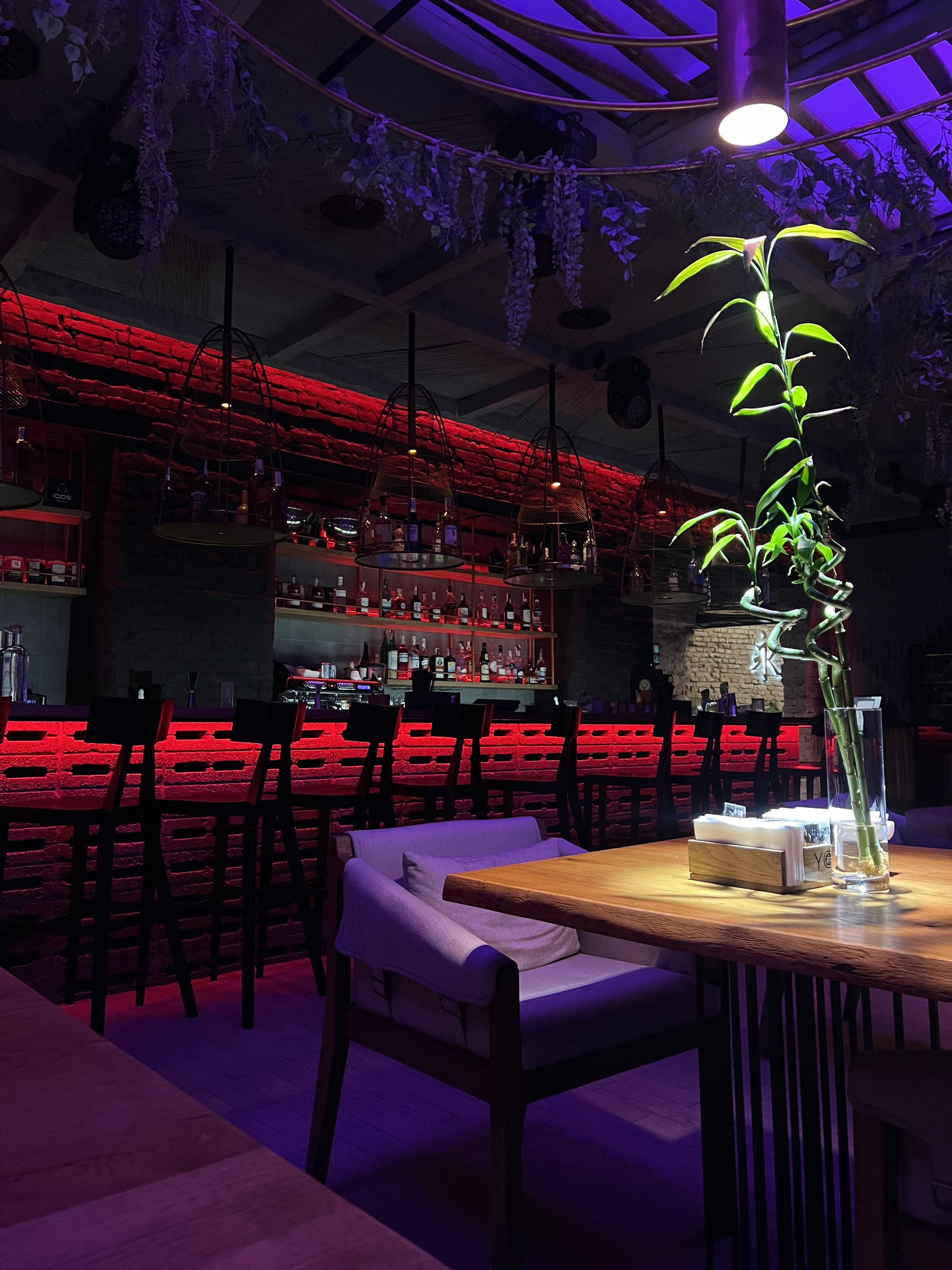 YOKI Restaurant image 7