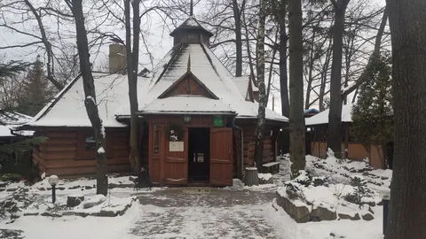 Lelech image 6