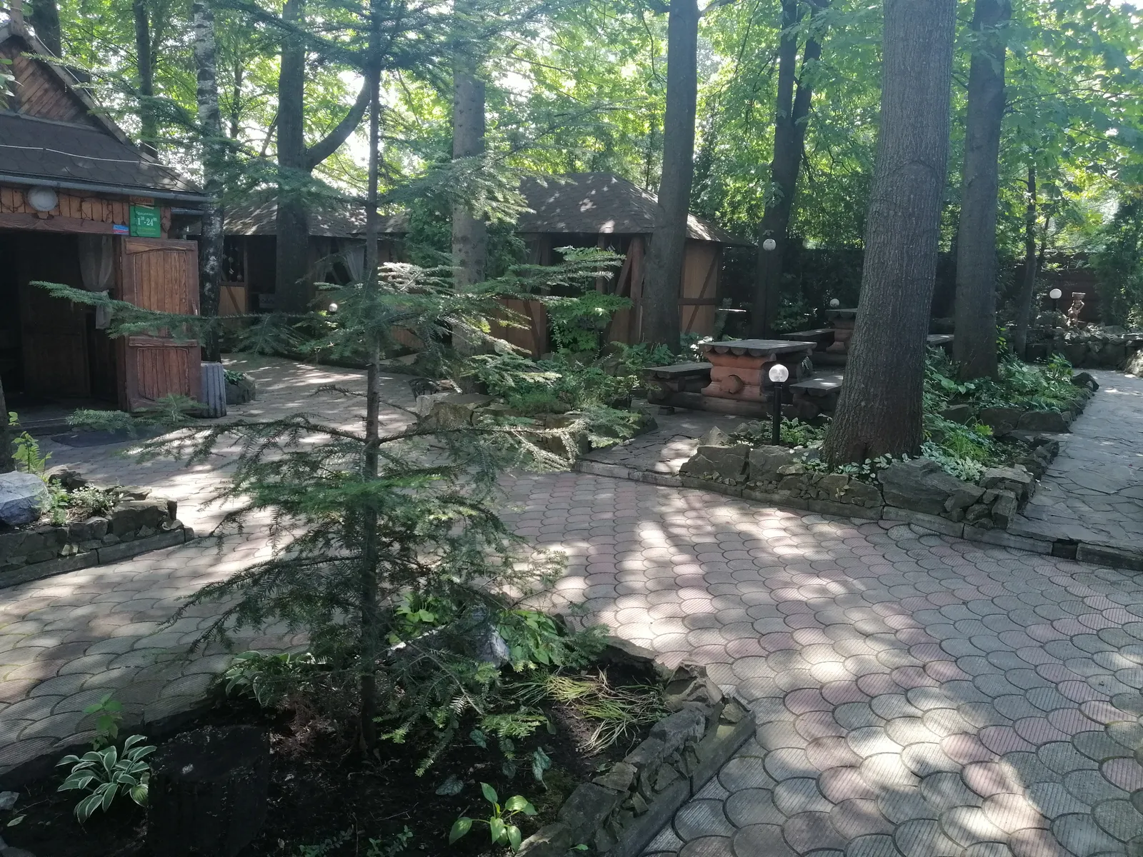 Lelech image 7