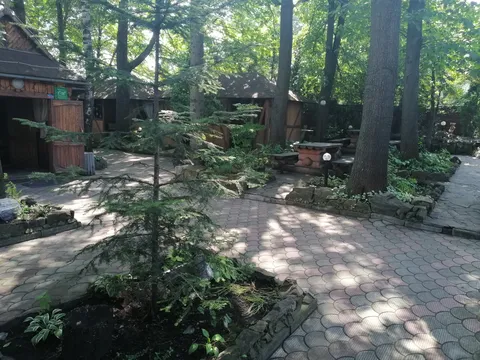 Lelech image 7