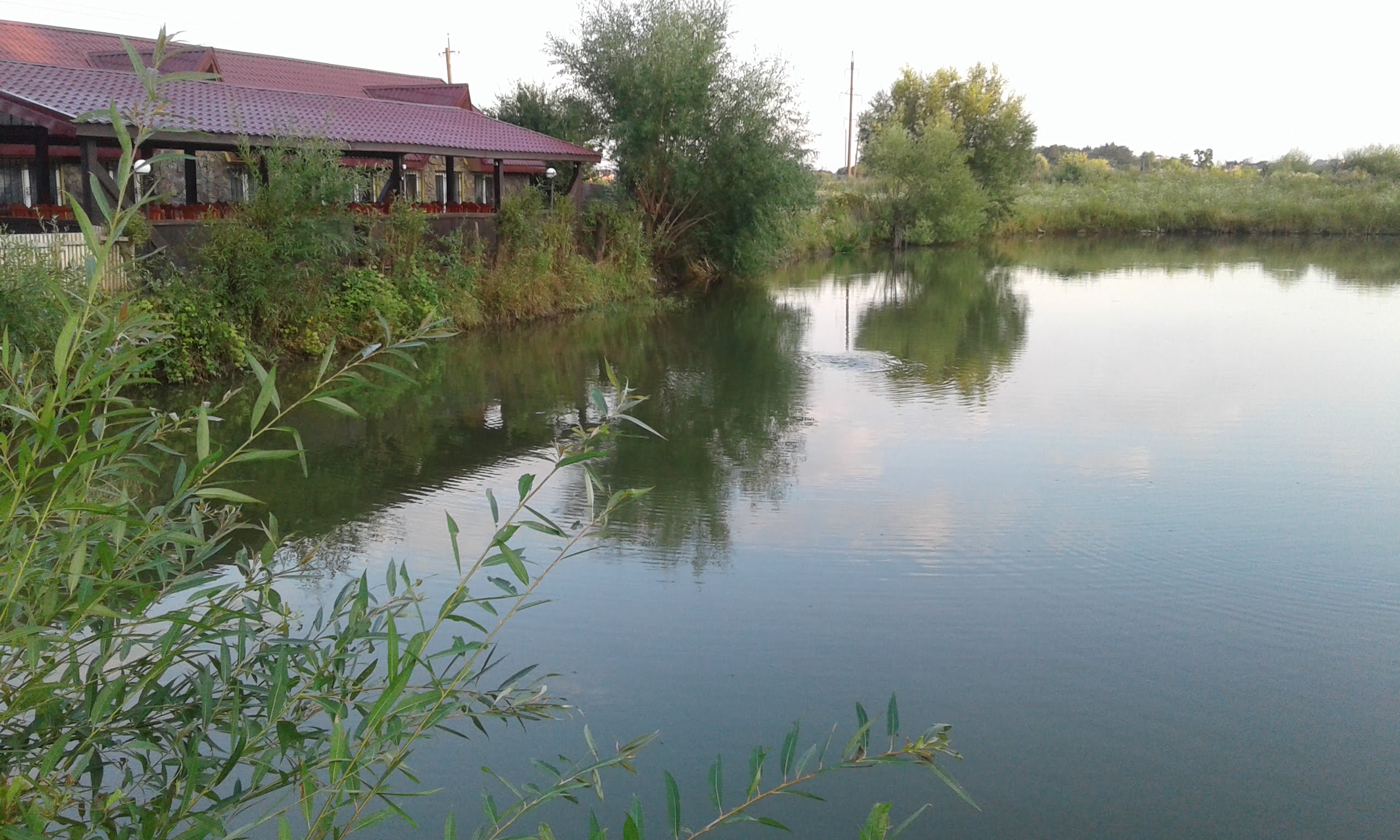 Restoran Kalyna image 3