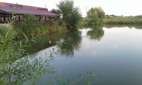 Restoran Kalyna image 3