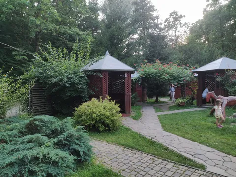 Shershenʹ image 6