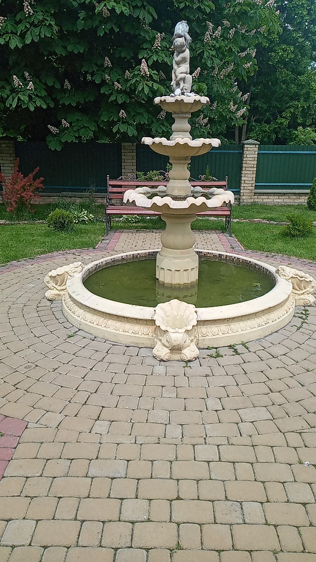 Veselka image 10