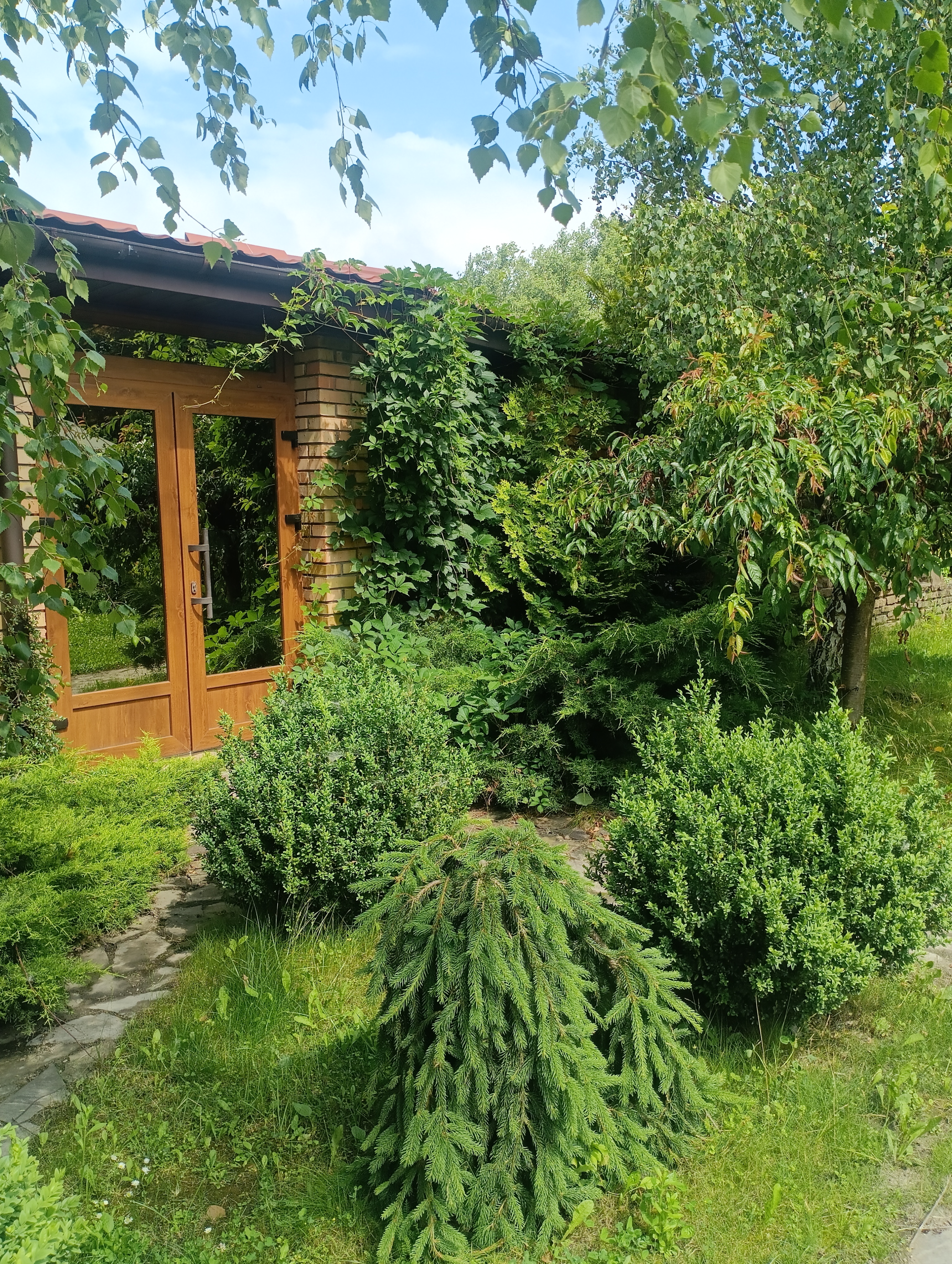 Ukrainski Varenyky image 8