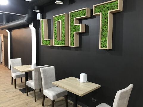 Loft image 1