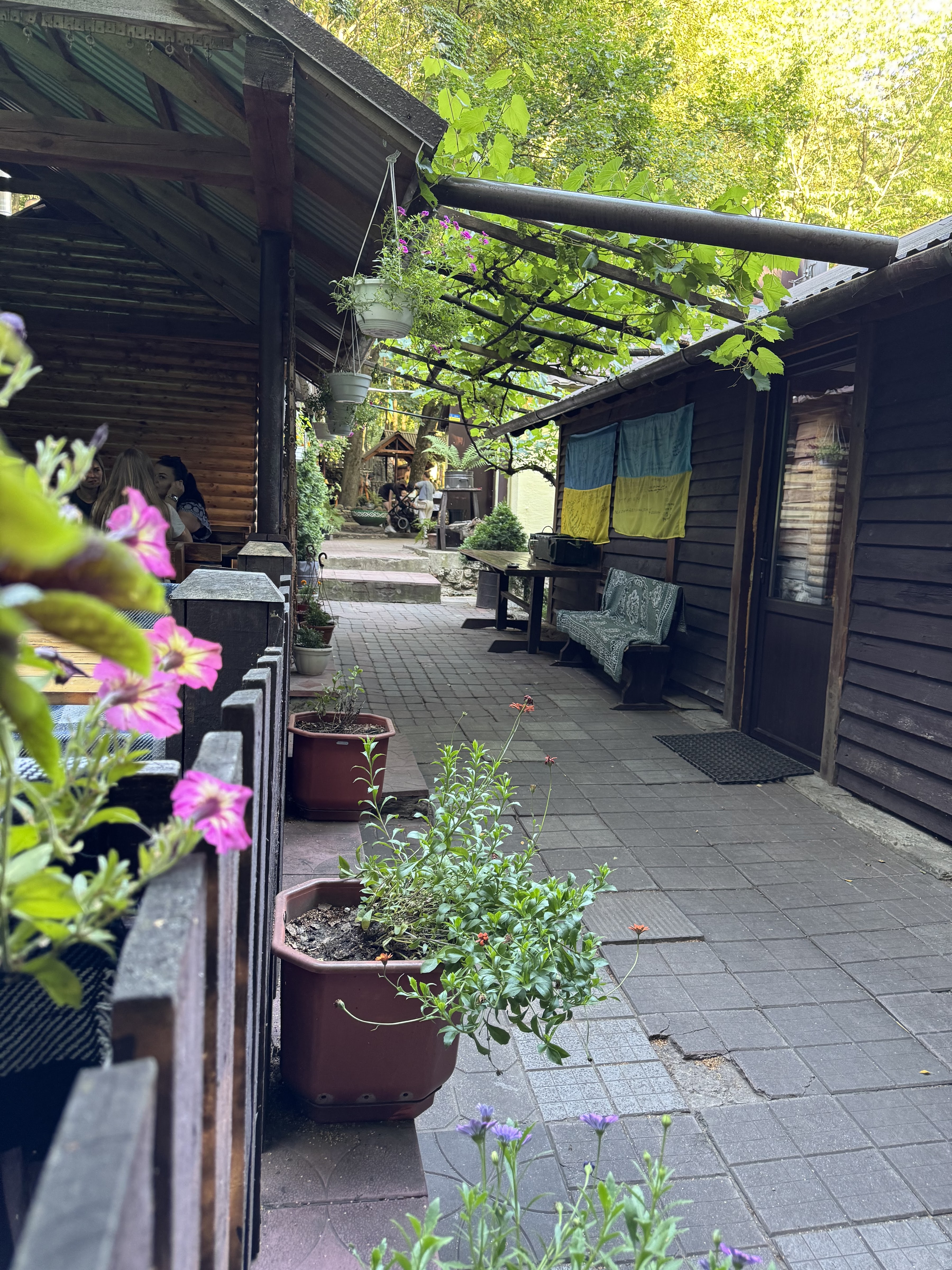 Lemkivsʹkyy Dvir image 3