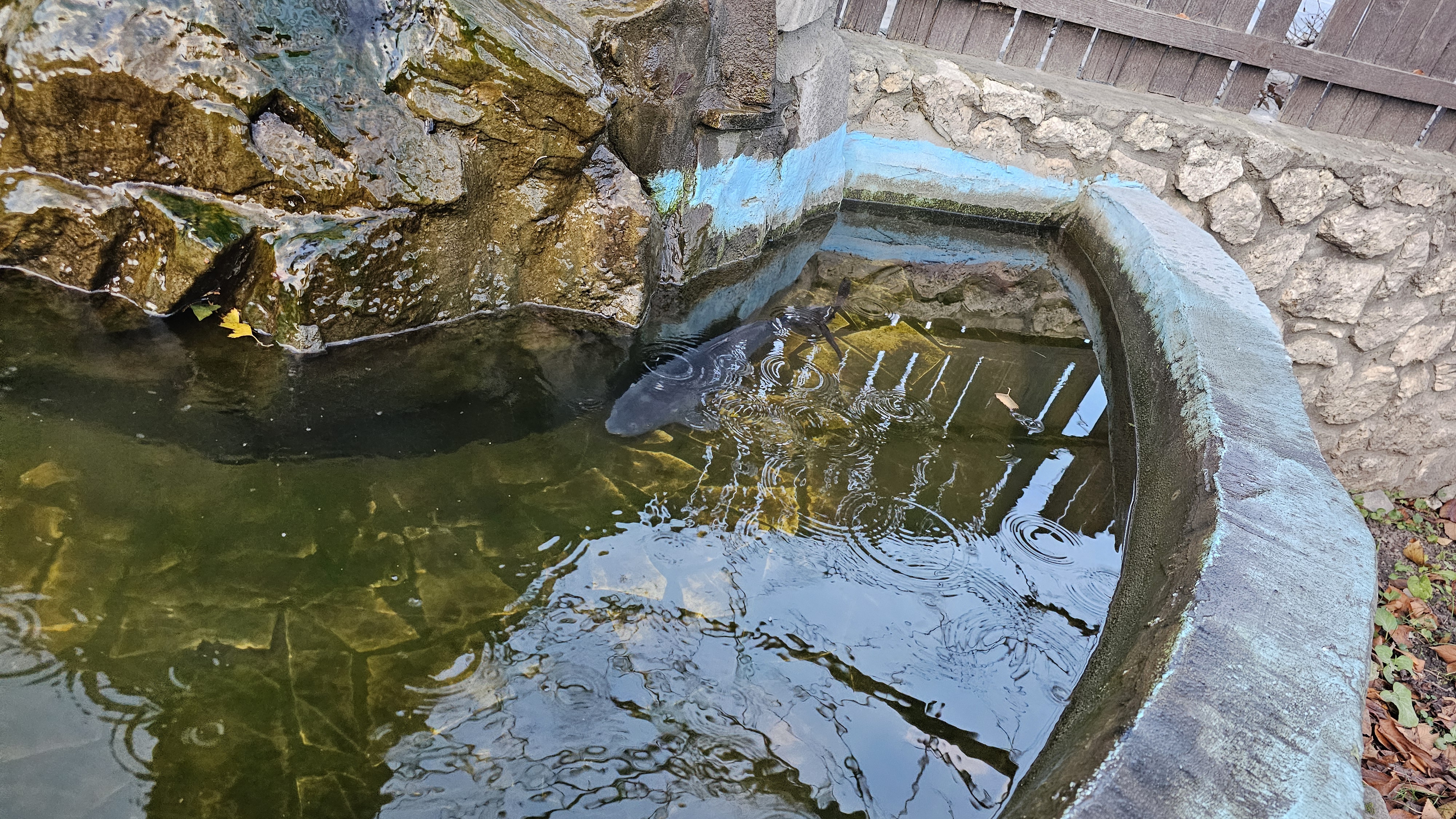 Bar"Romantyka" image 10