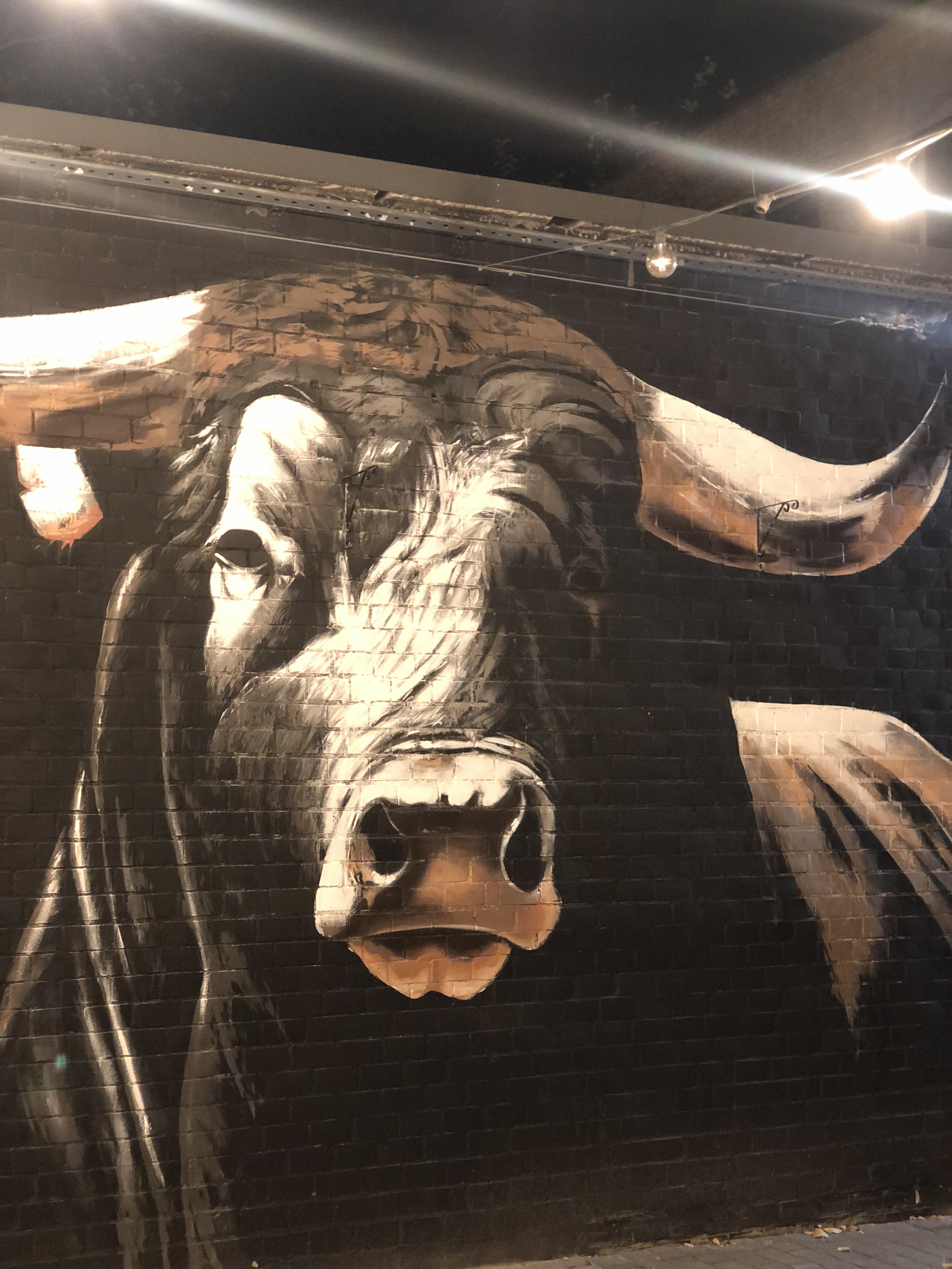 Hrylʹova Restoratsiya "Vuhilʹ" image 10