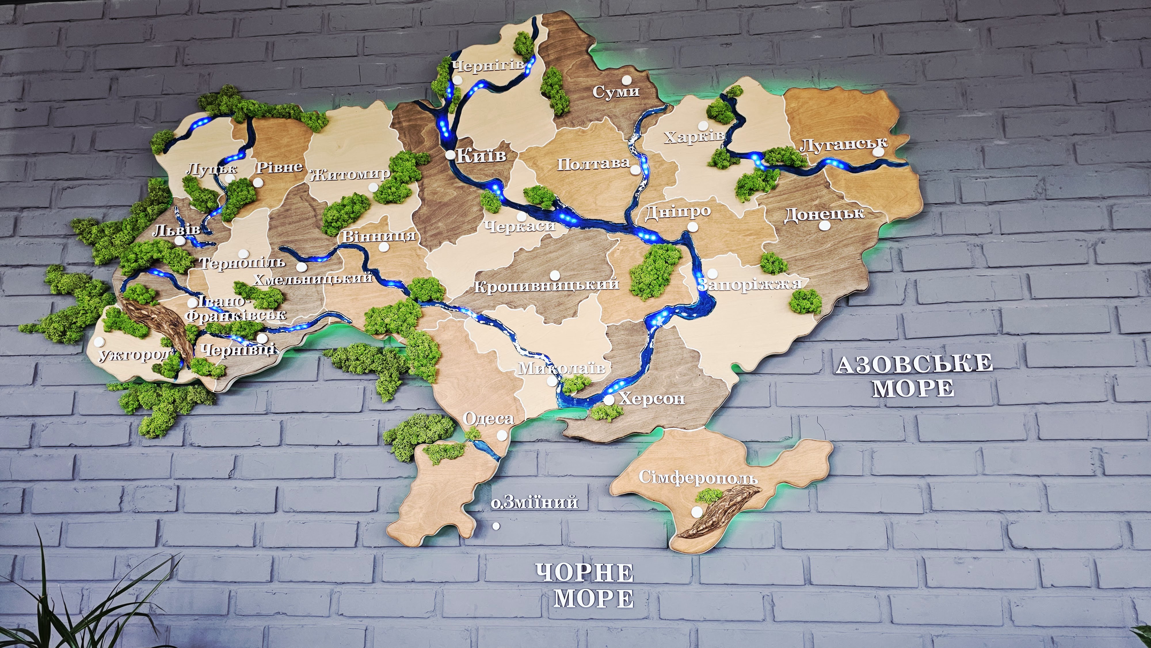 CAFE - MARKET Dido’ image 6