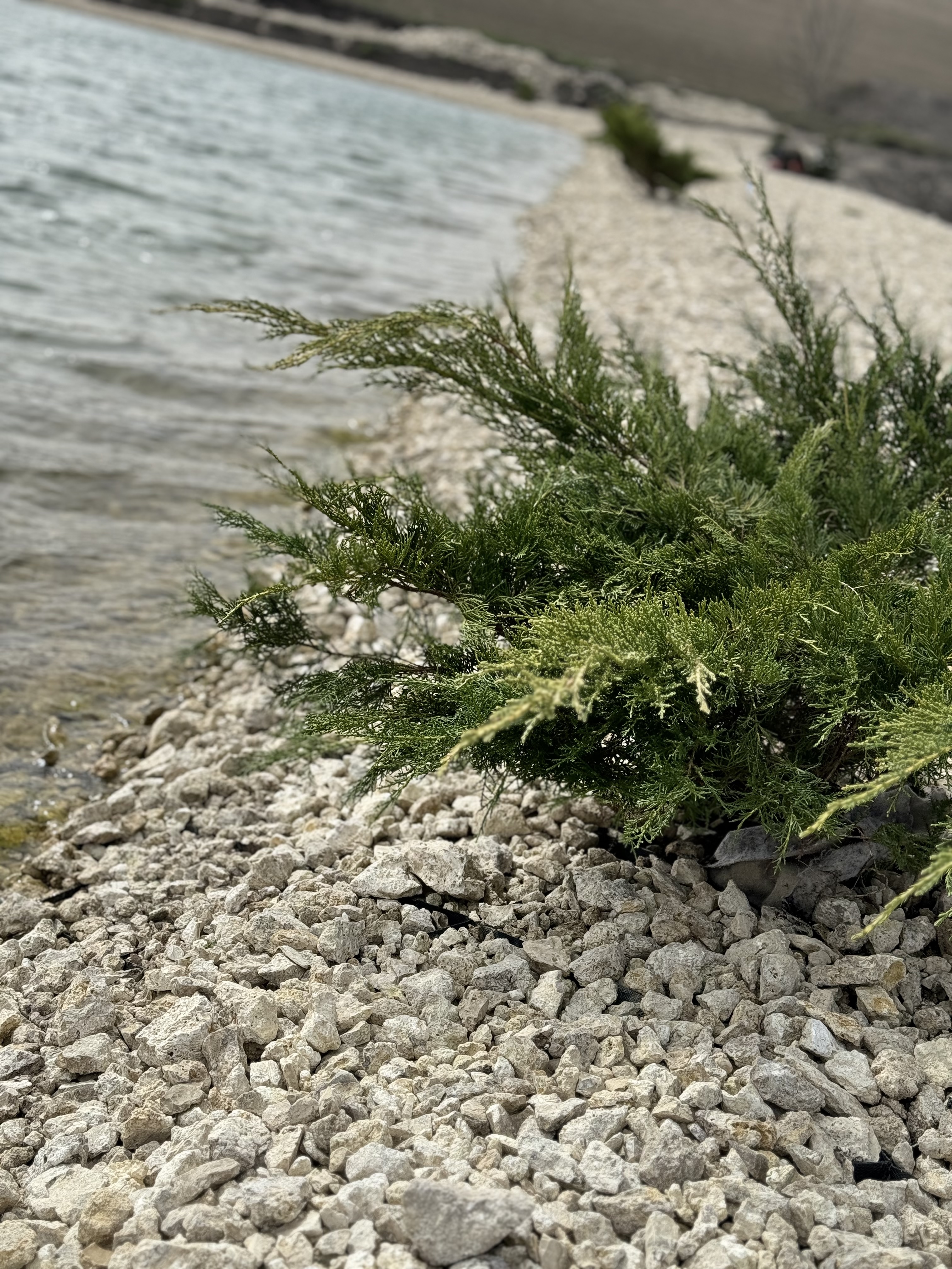 Forelʹka Klab Pluhiv image 9